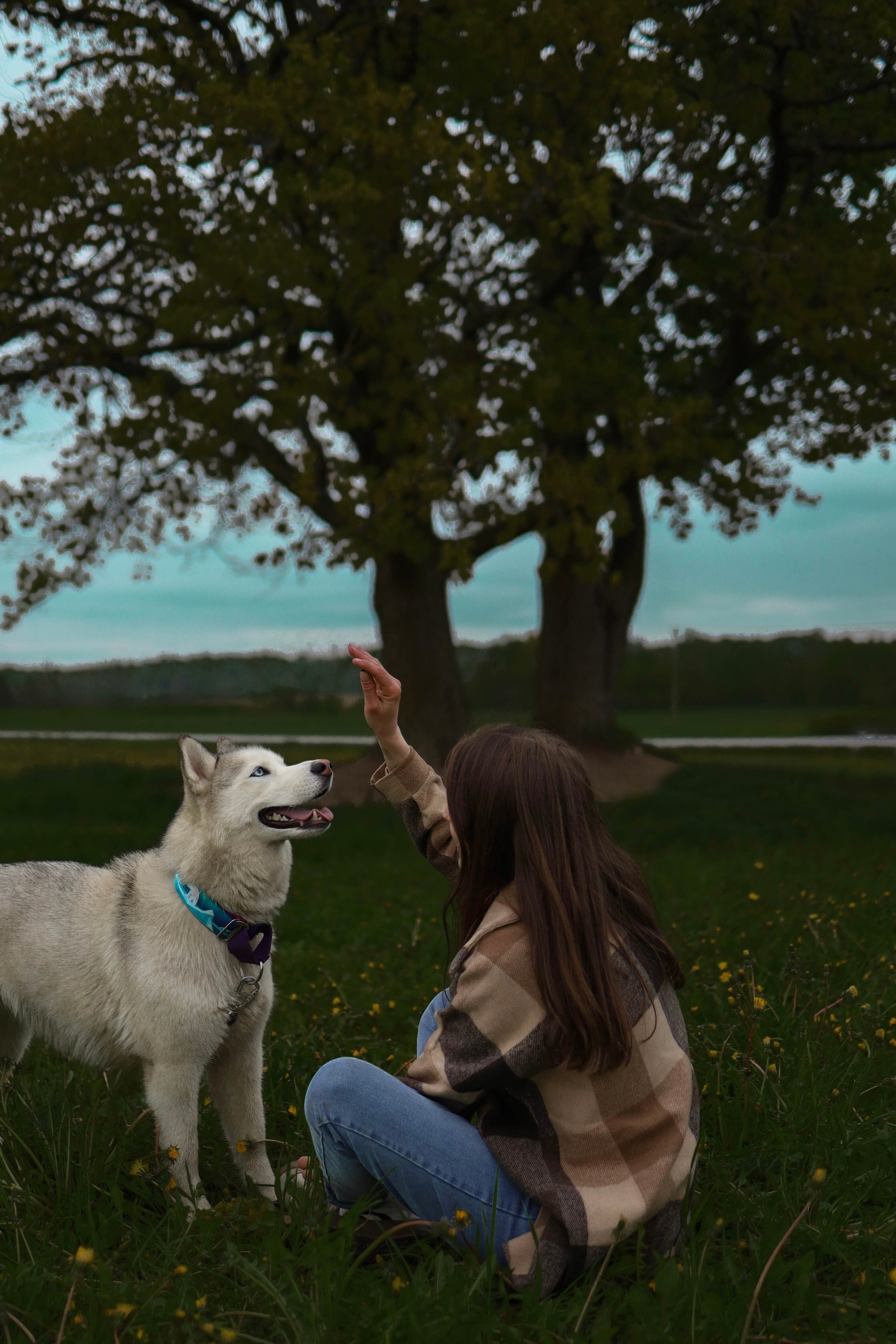 Шанти и Катя. Фотограф-анималист в Санкт-Петеребурге Титова Алиса
