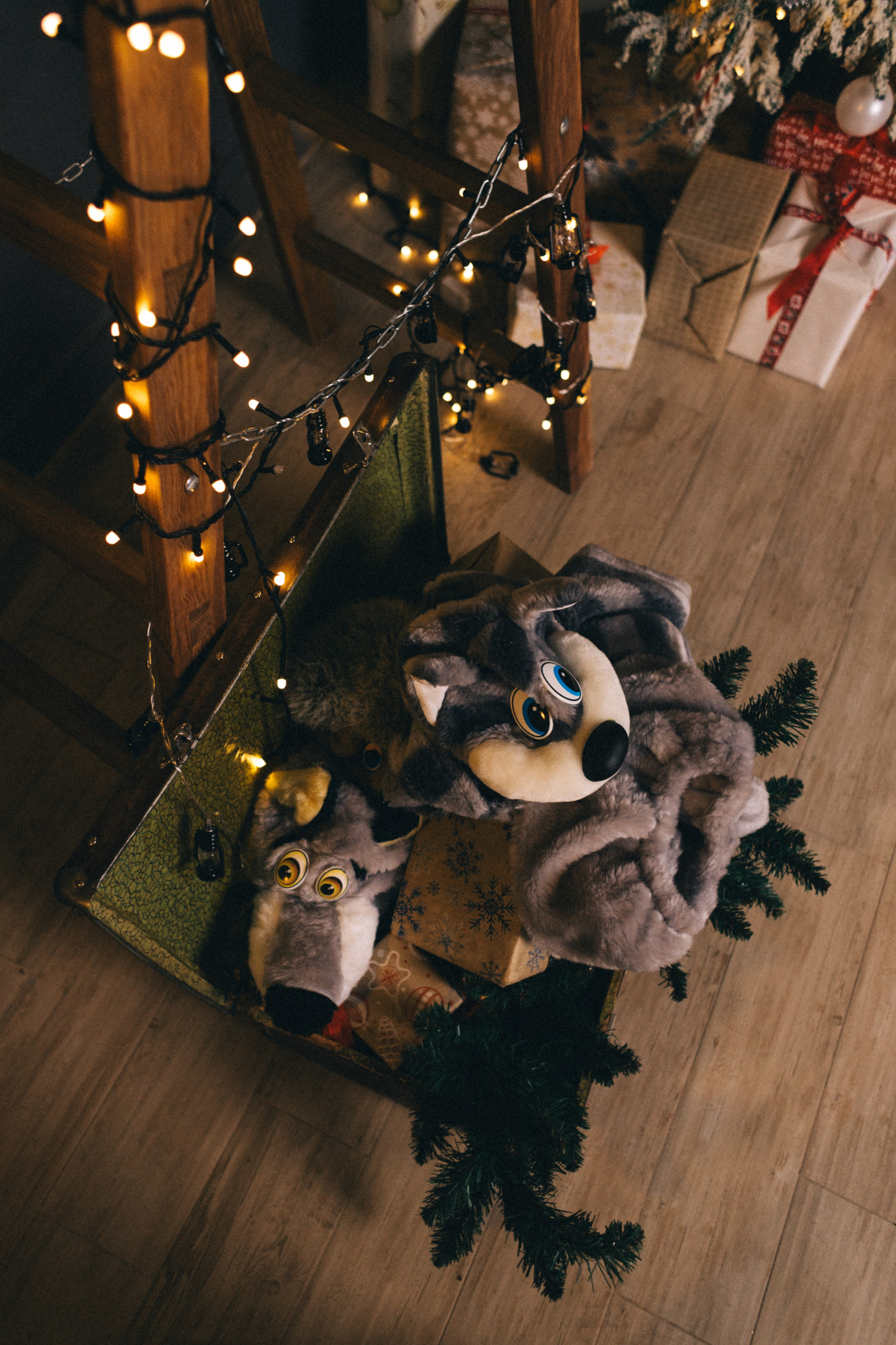 Толя Маша Матвей Дани. Свадебный и семейный фотограф в Ростове-на-Дону Анастасия Арестова