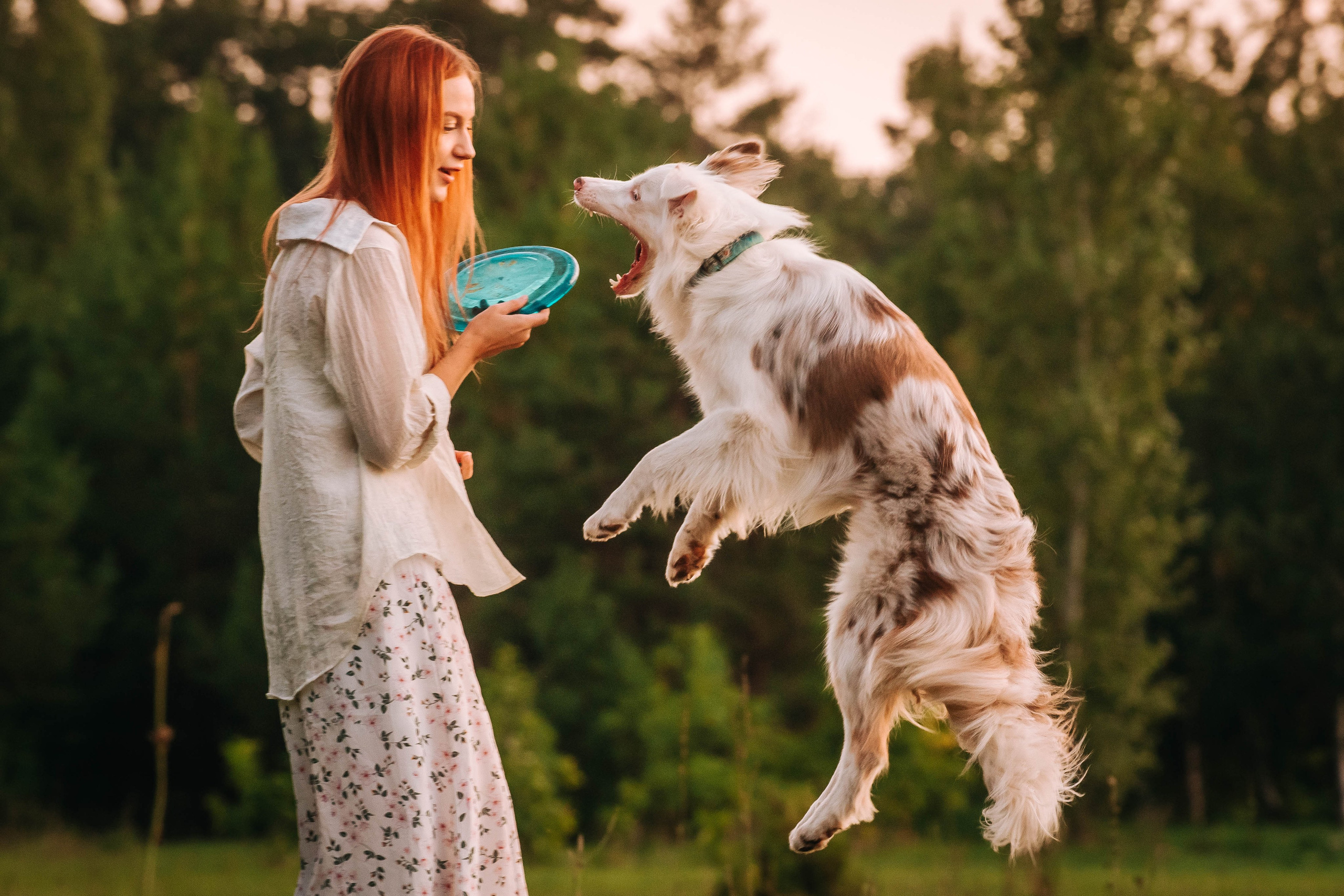 Лиза и Айви. Главная