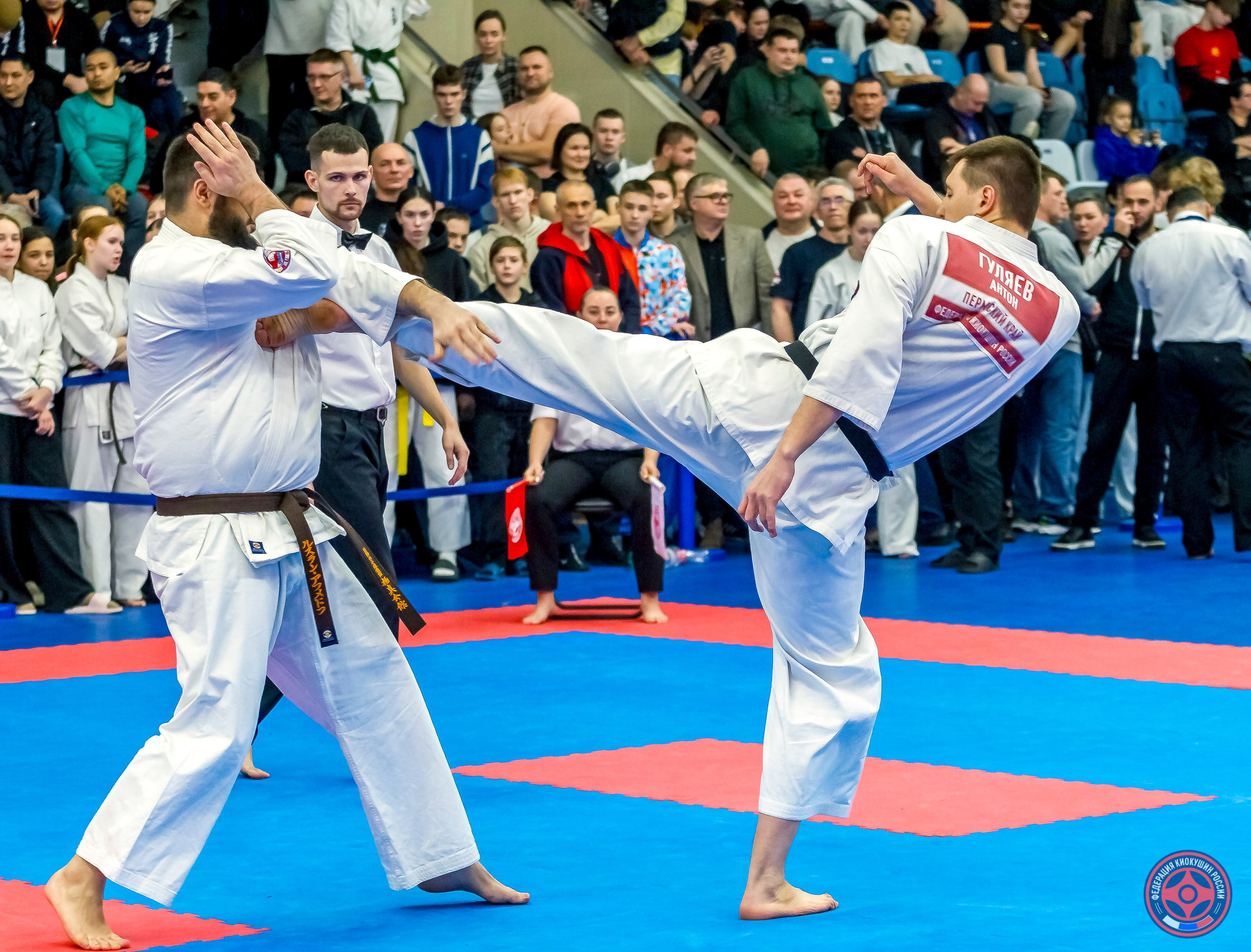 Международный турнир по киокушин «Открытый кубок Seiken». Репортажная съемка в Москве и области. Анималистика