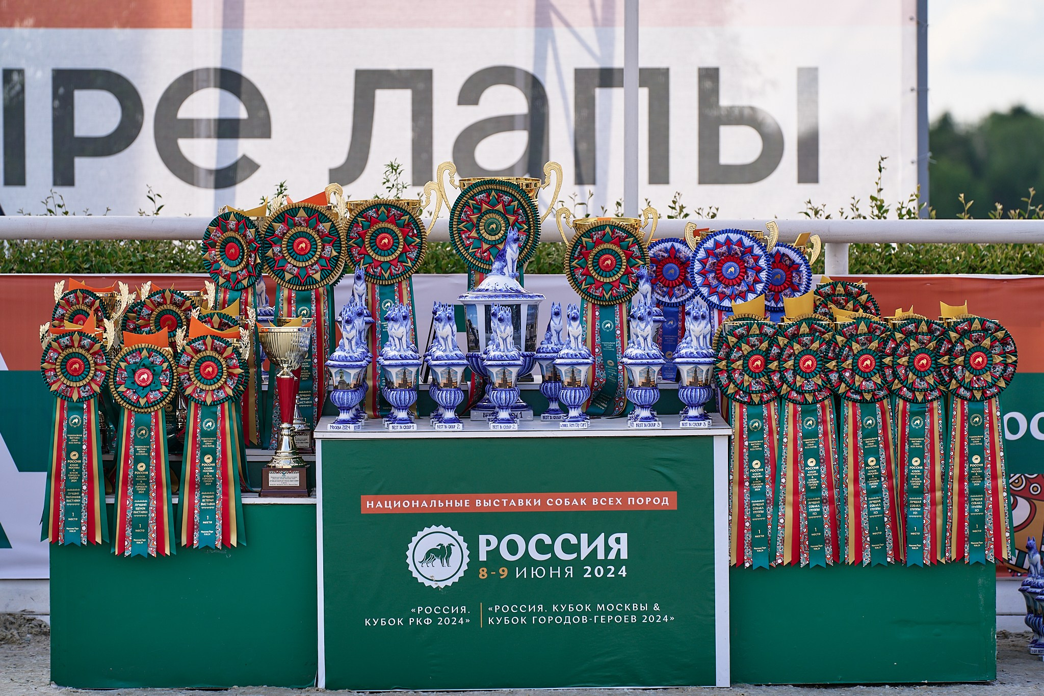 09.06.2024, «РОССИЯ. КУБОК МОСКВЫ 2024 & КУБОК ГОРОДОВ-ГЕРОЕВ»