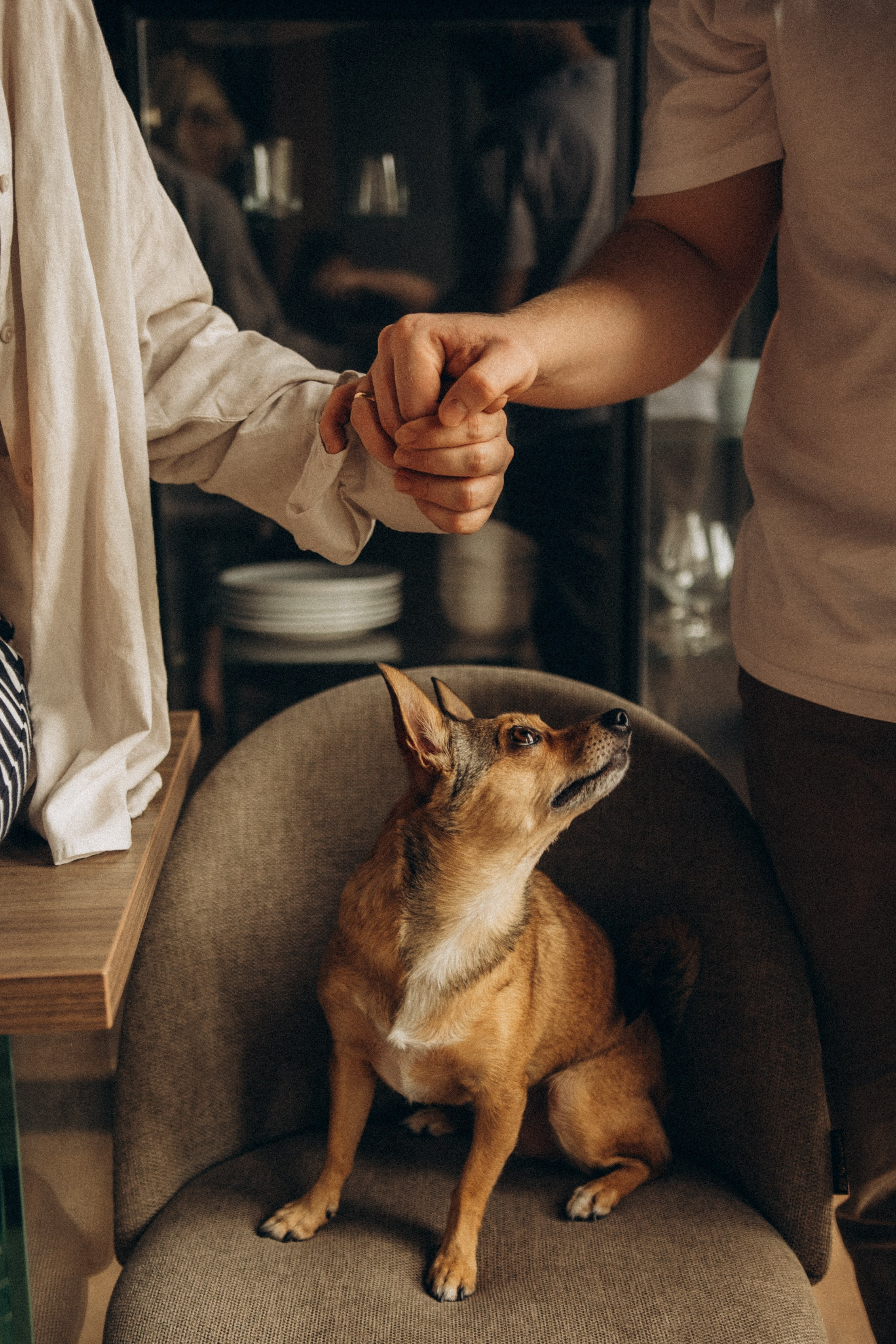 Алена, Антон и Гая. Гаврилова Настя семейный фотограф lifestyle в Москве