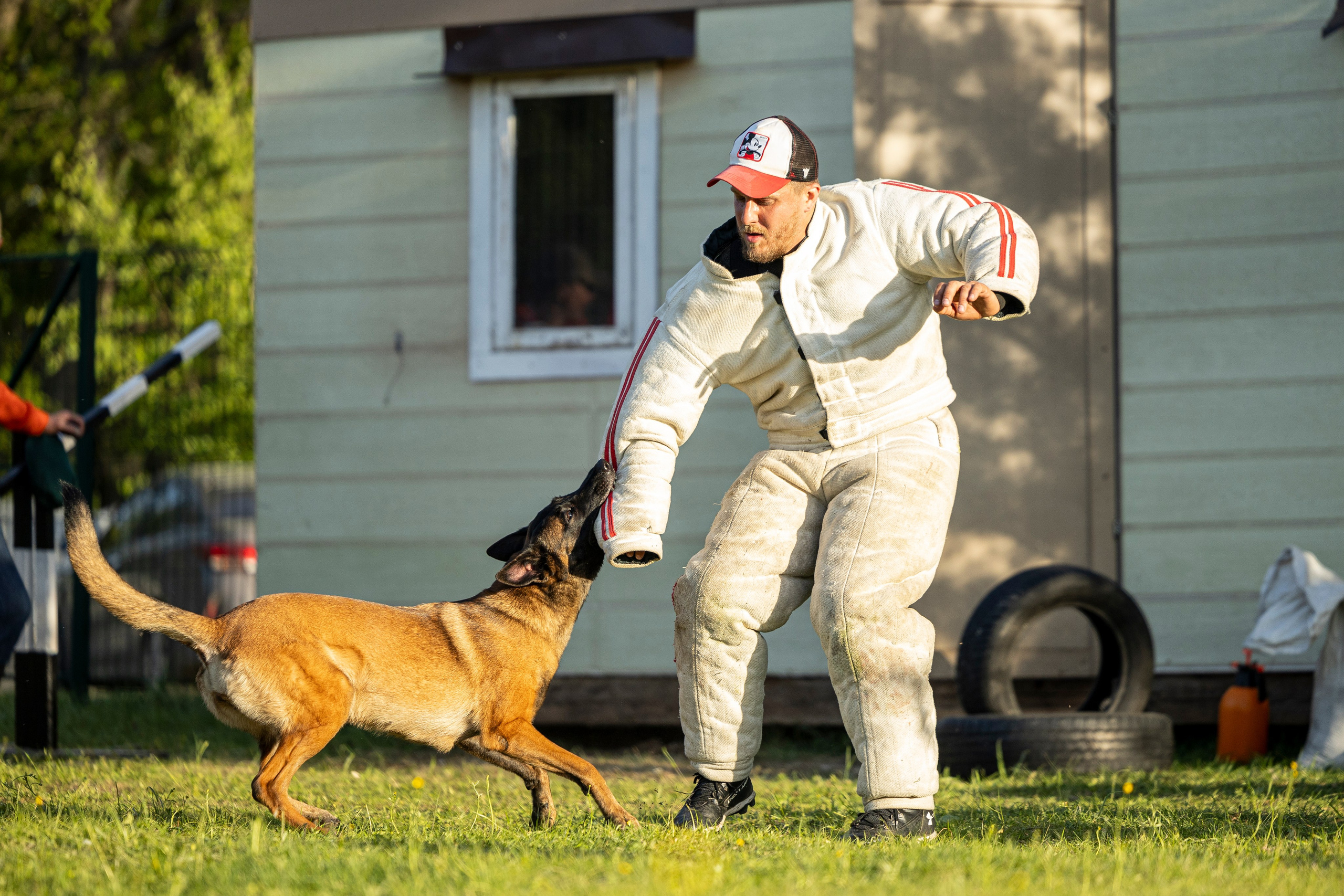 Испытания по мондьорингу в Нижнем Новгороде. Фотограф-анималист Анна Маринич