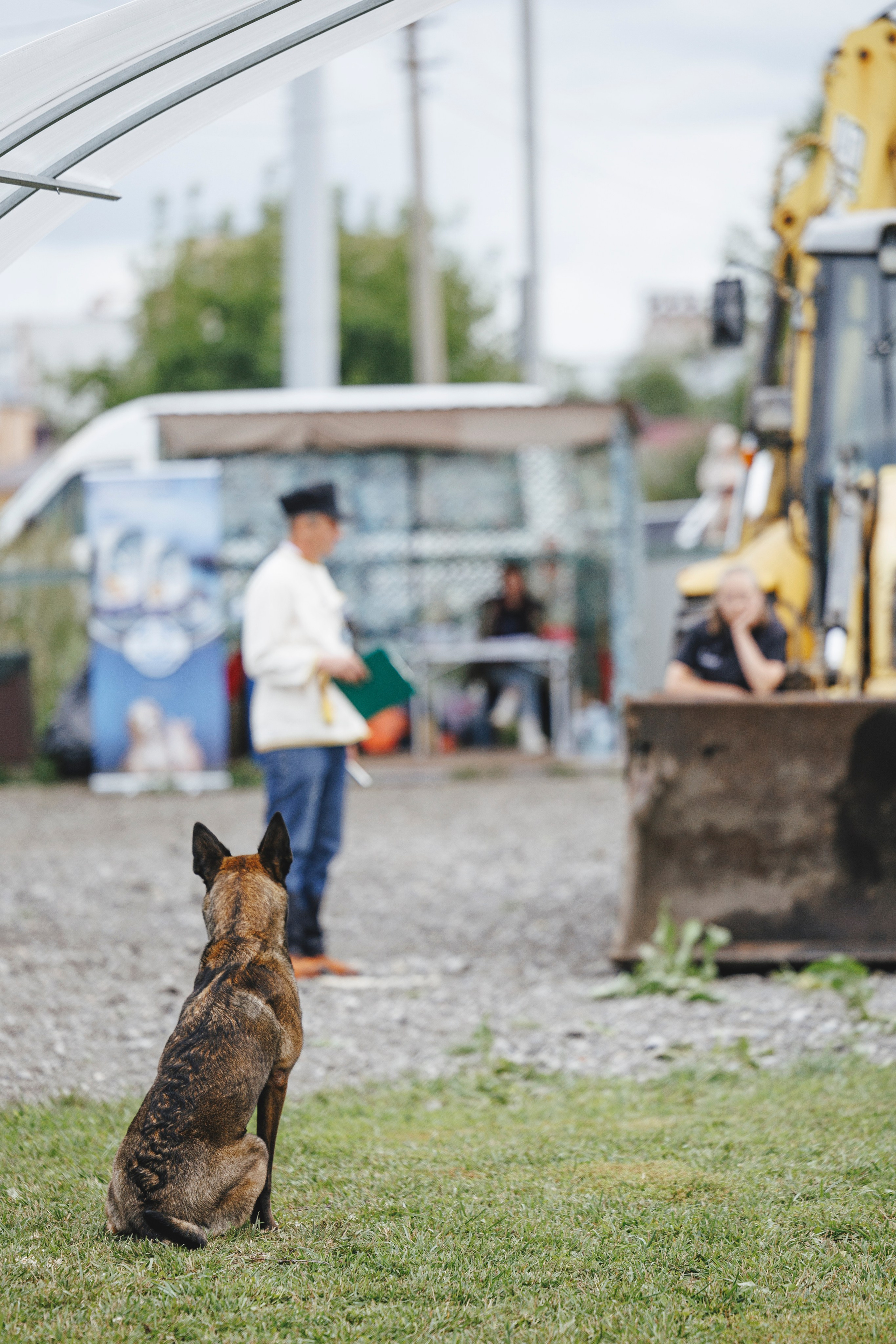 08.08.25-10.08.25 ЧР по мондьорингу г. Вологда. Фотограф-анималист Анна Маринич