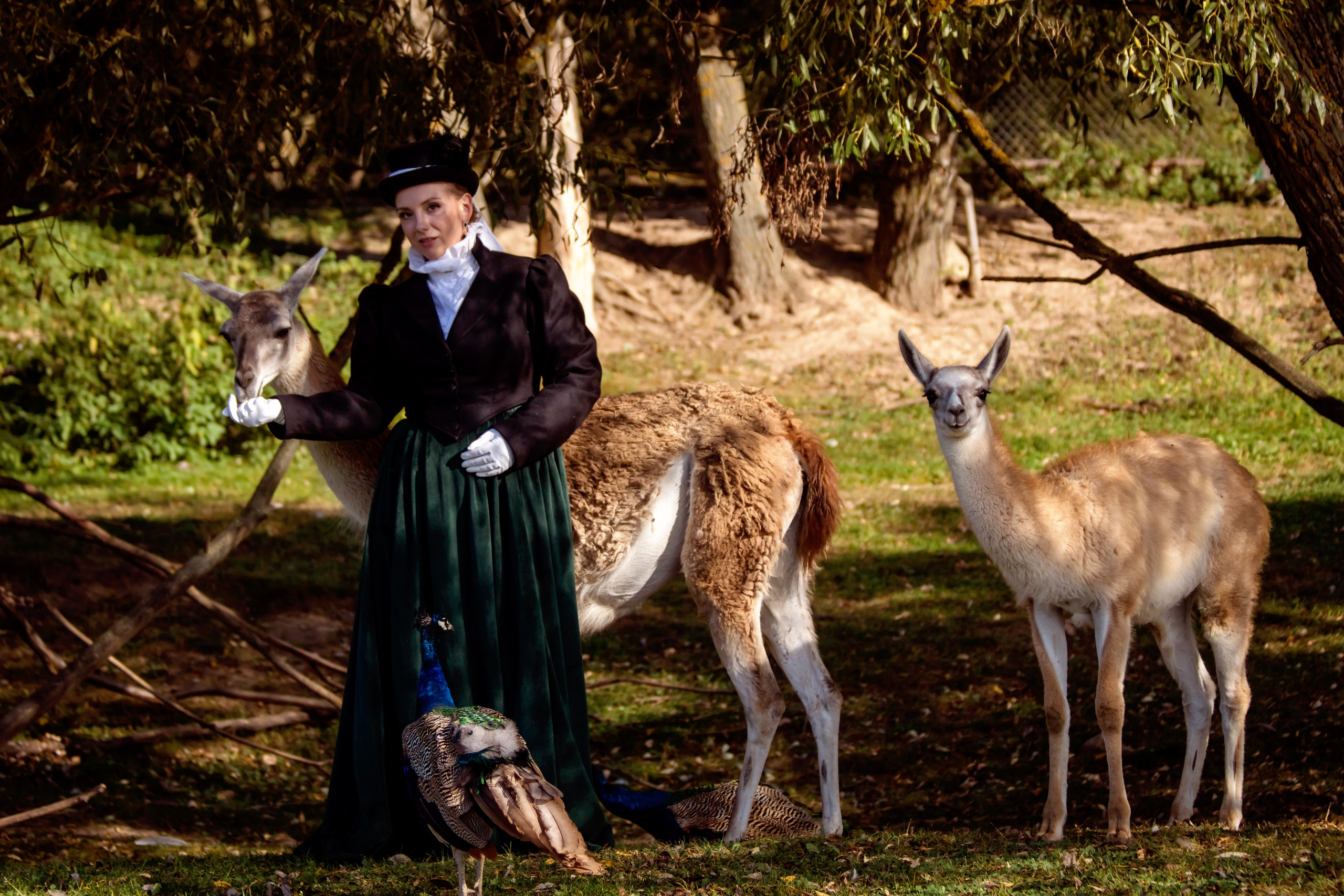 Фотосессия в Аванпост. Фотограф анималист — Тула, Москва