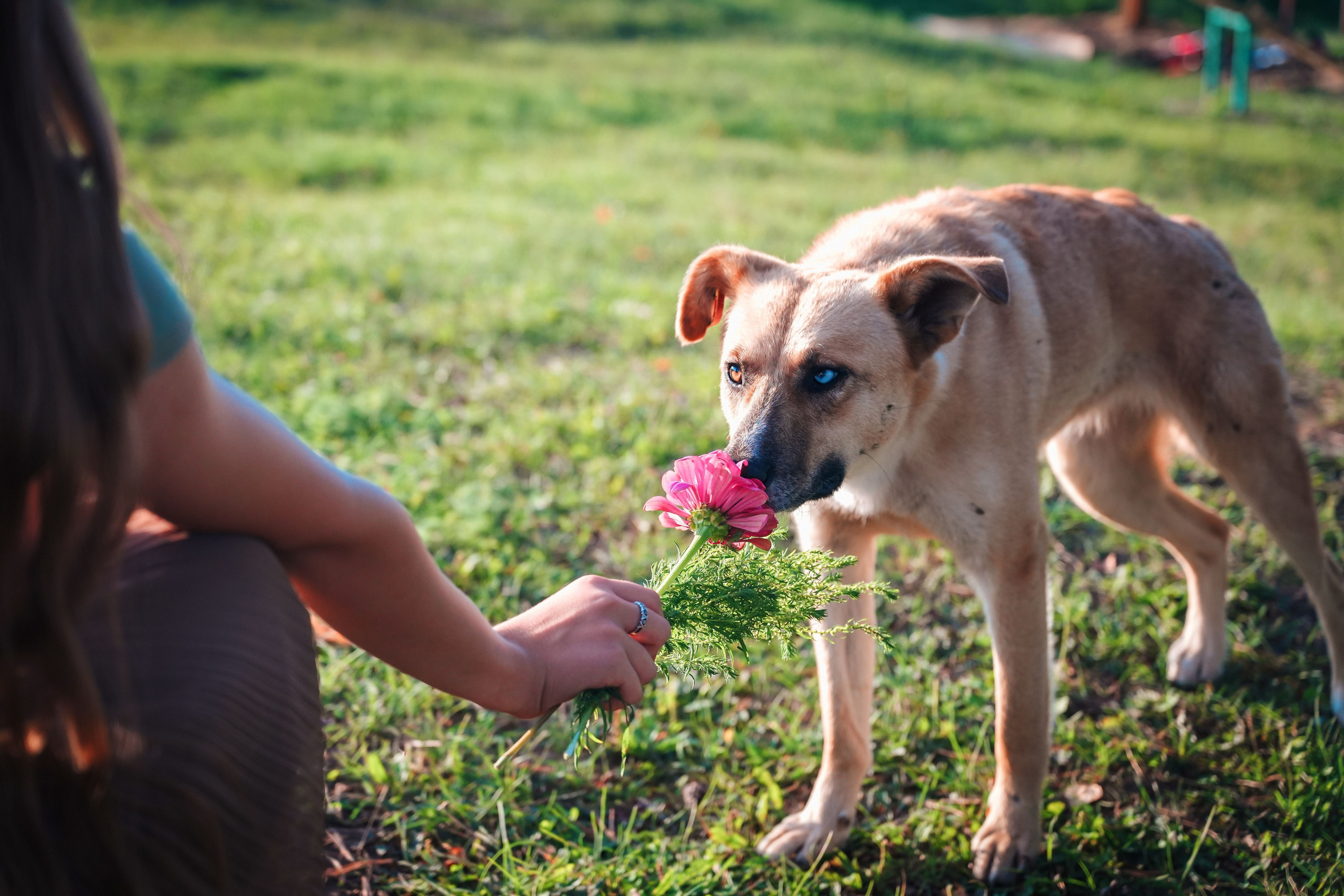 Прогулка. Семейный и интерьерный фотограф в Норильске и Красноярске