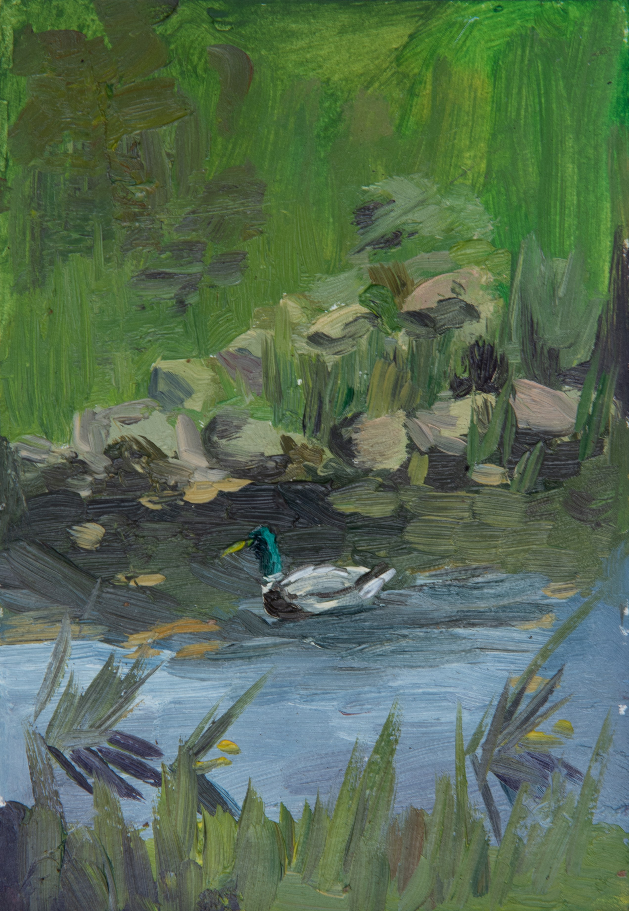 Масло. Фотограф Юлия Зимина