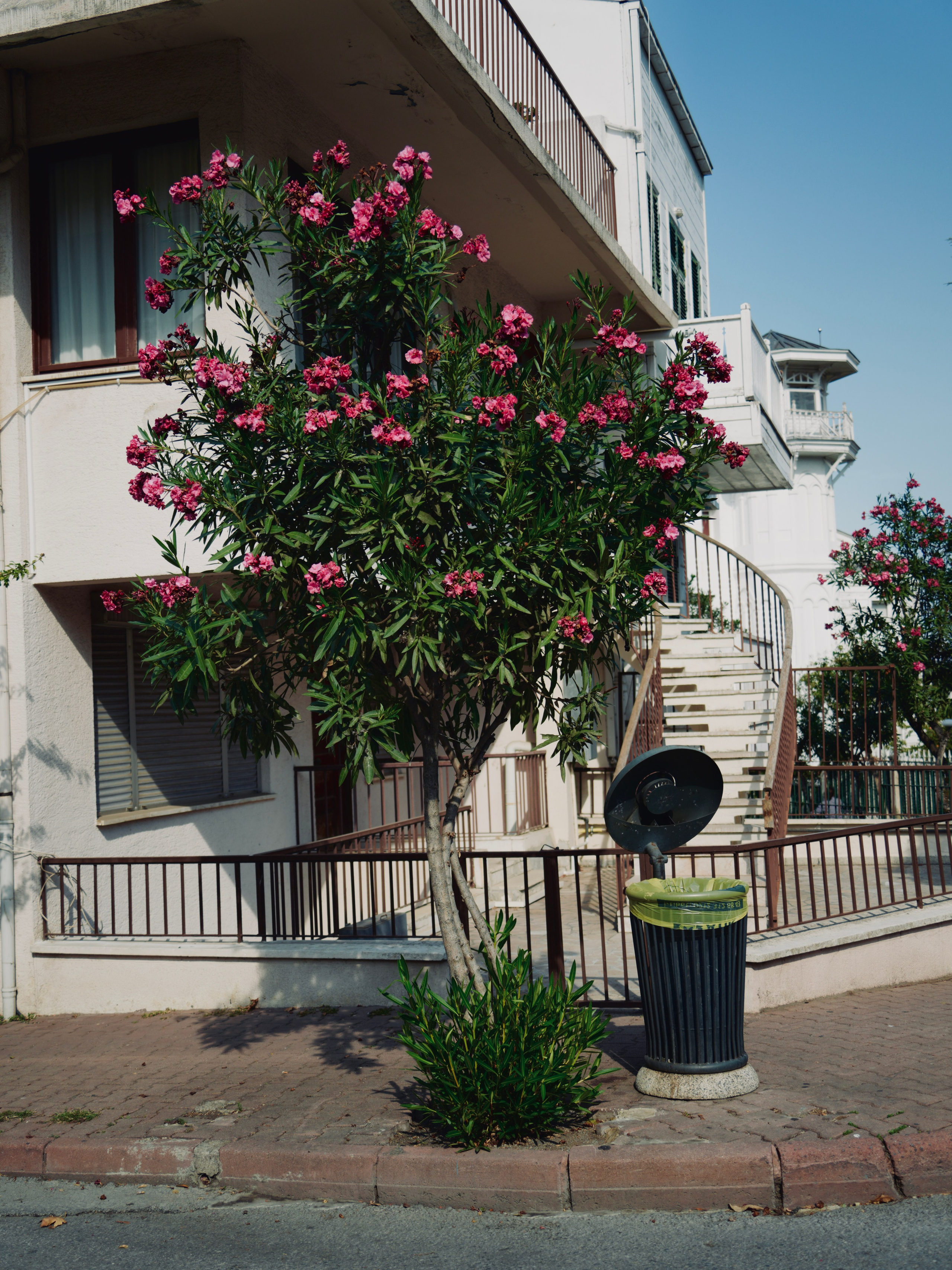 Пространство в цвете. Событийный фотограф в Москве Юлия Папиянц