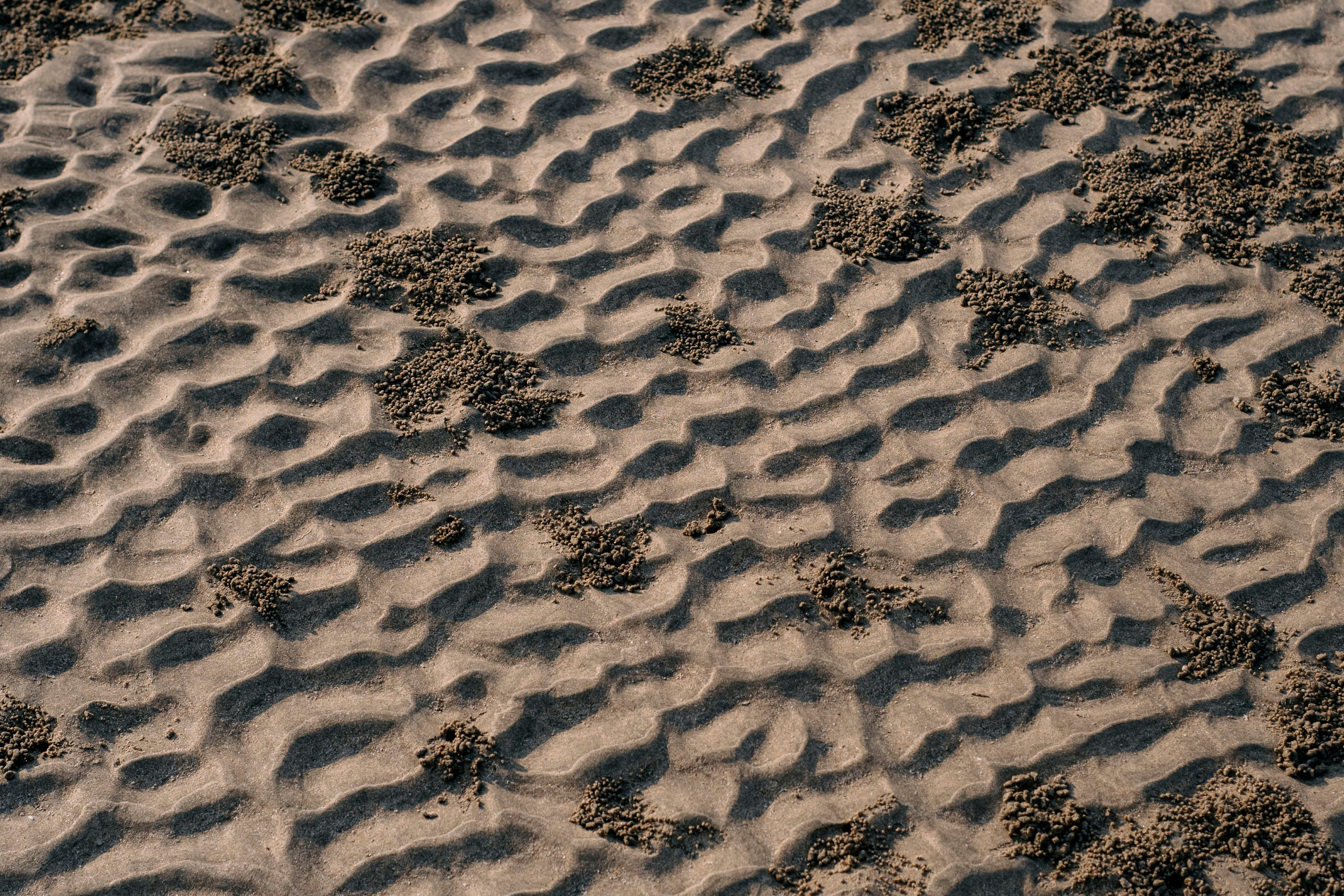 Гоа. индия. Iraogo