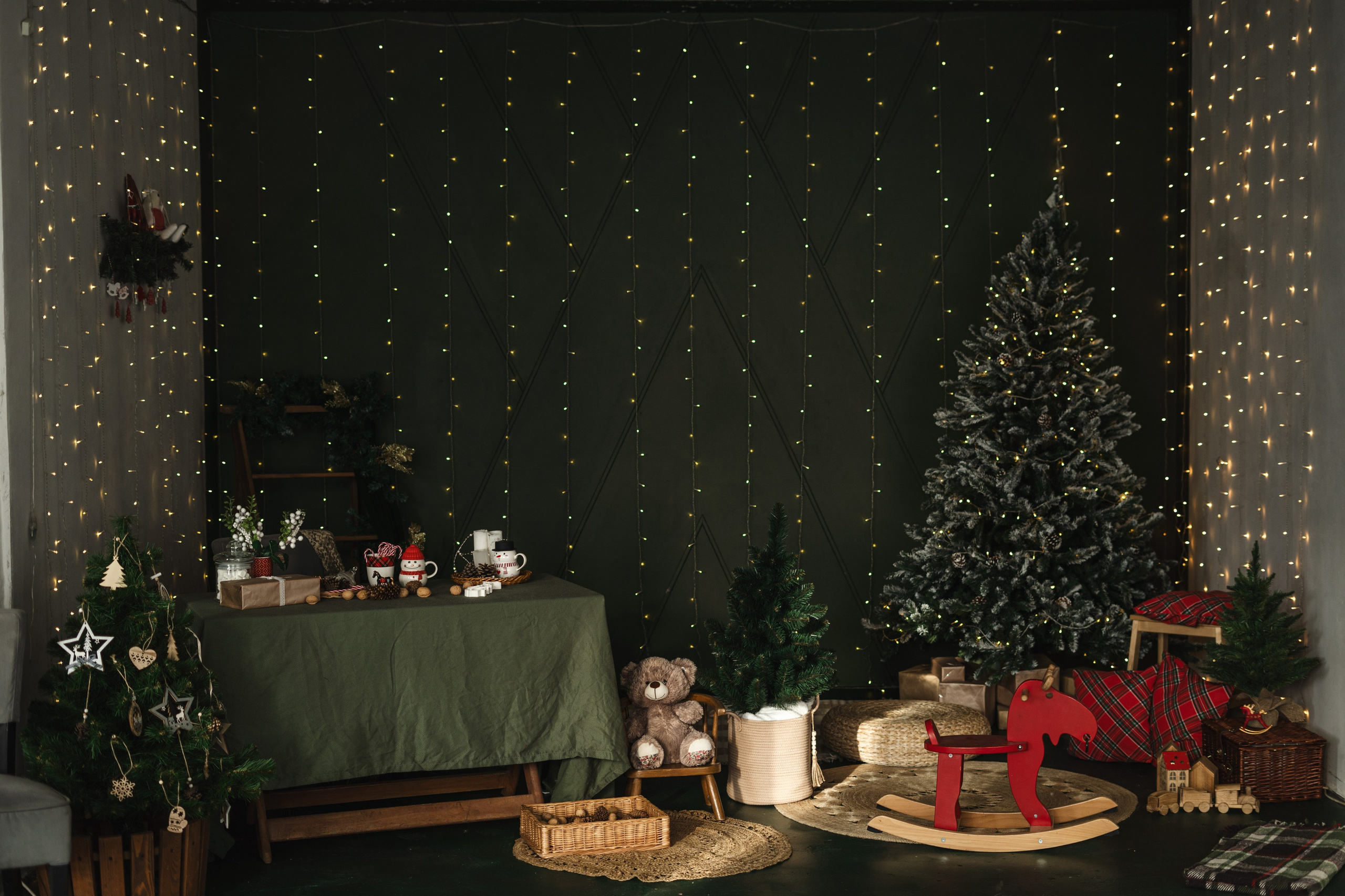 Фотостудия "Импульс" Саратов новогодняя фотосессия