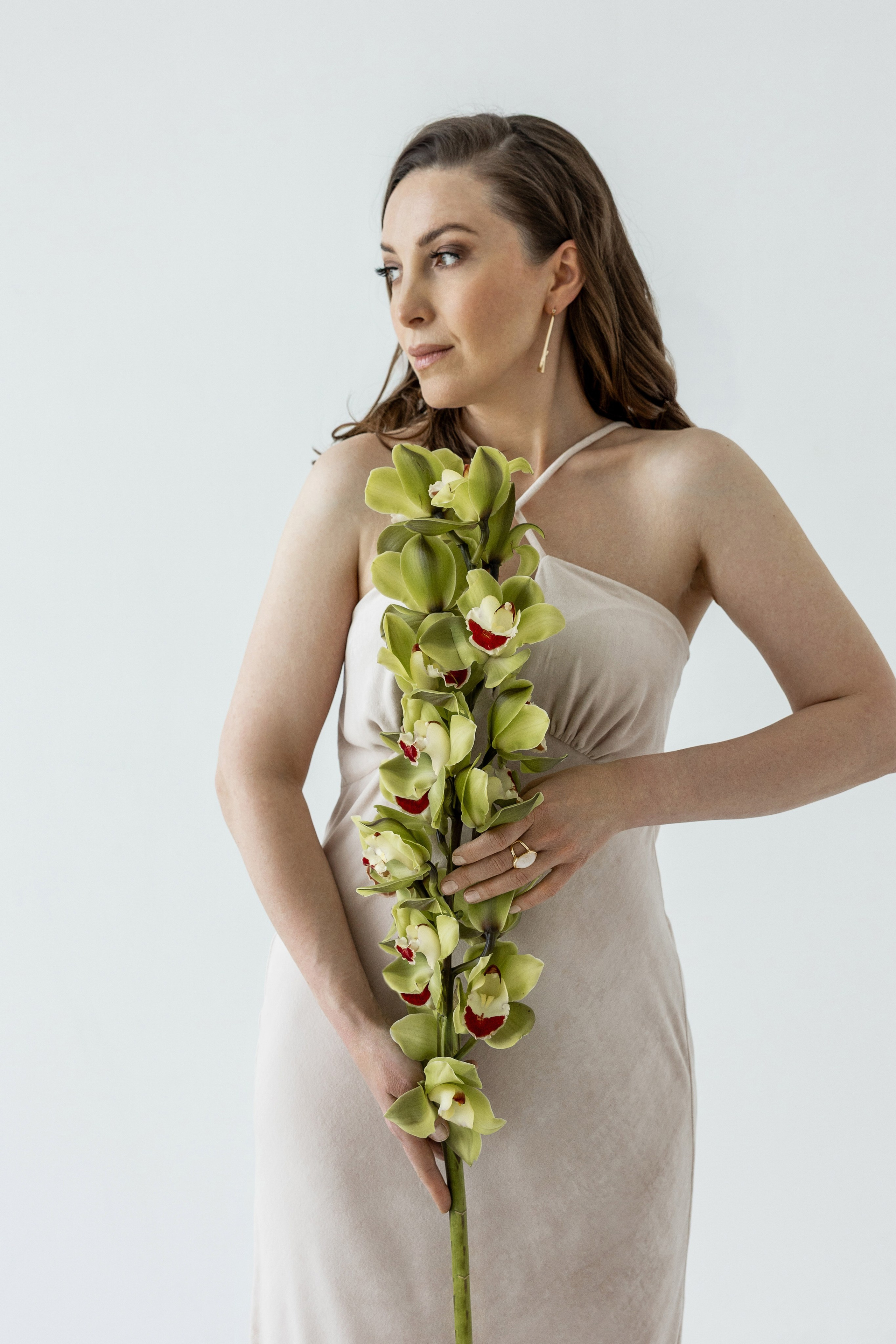 Орхидея. Фотограф Екатерина Голицына