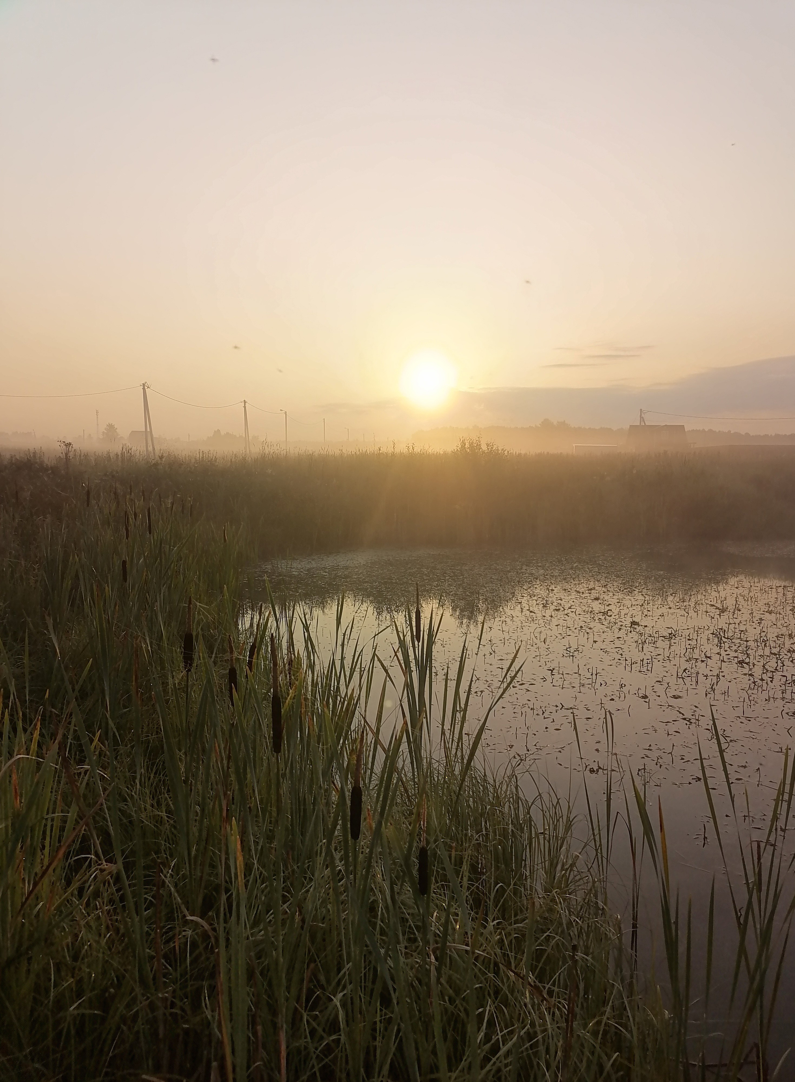 Пейзаж. Фотограф Наталья Туева FineArt съёмка