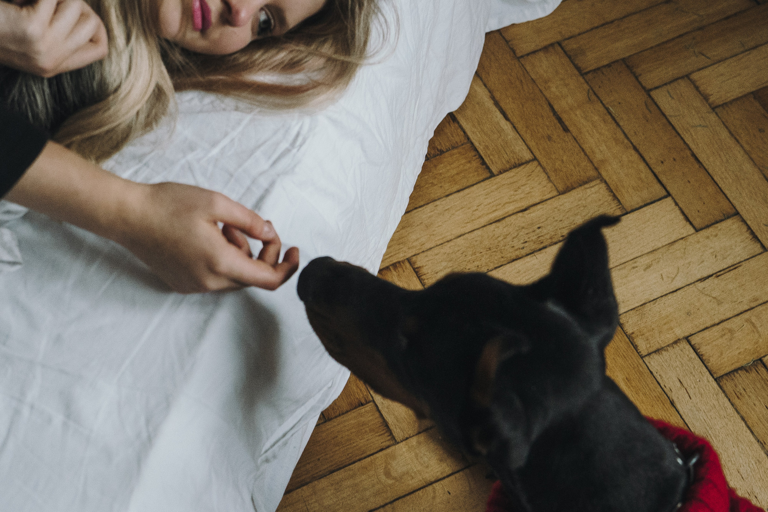 Саша и Асти. Фотограф анималист в Москве и Санкт-Петербурге Свиридова Анна