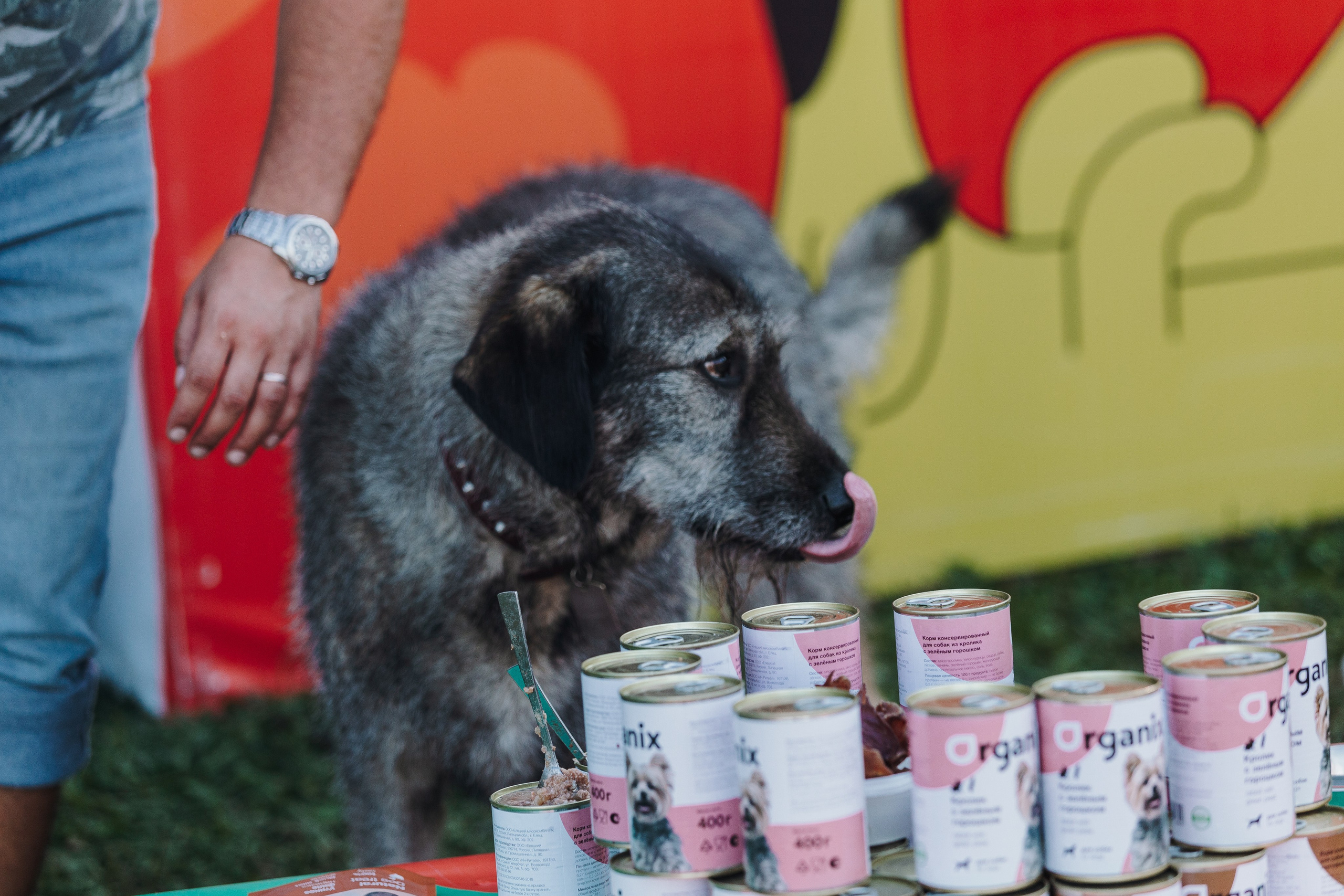 Petshop Sup day. Фотограф анималист Кристина Карпова, Москва