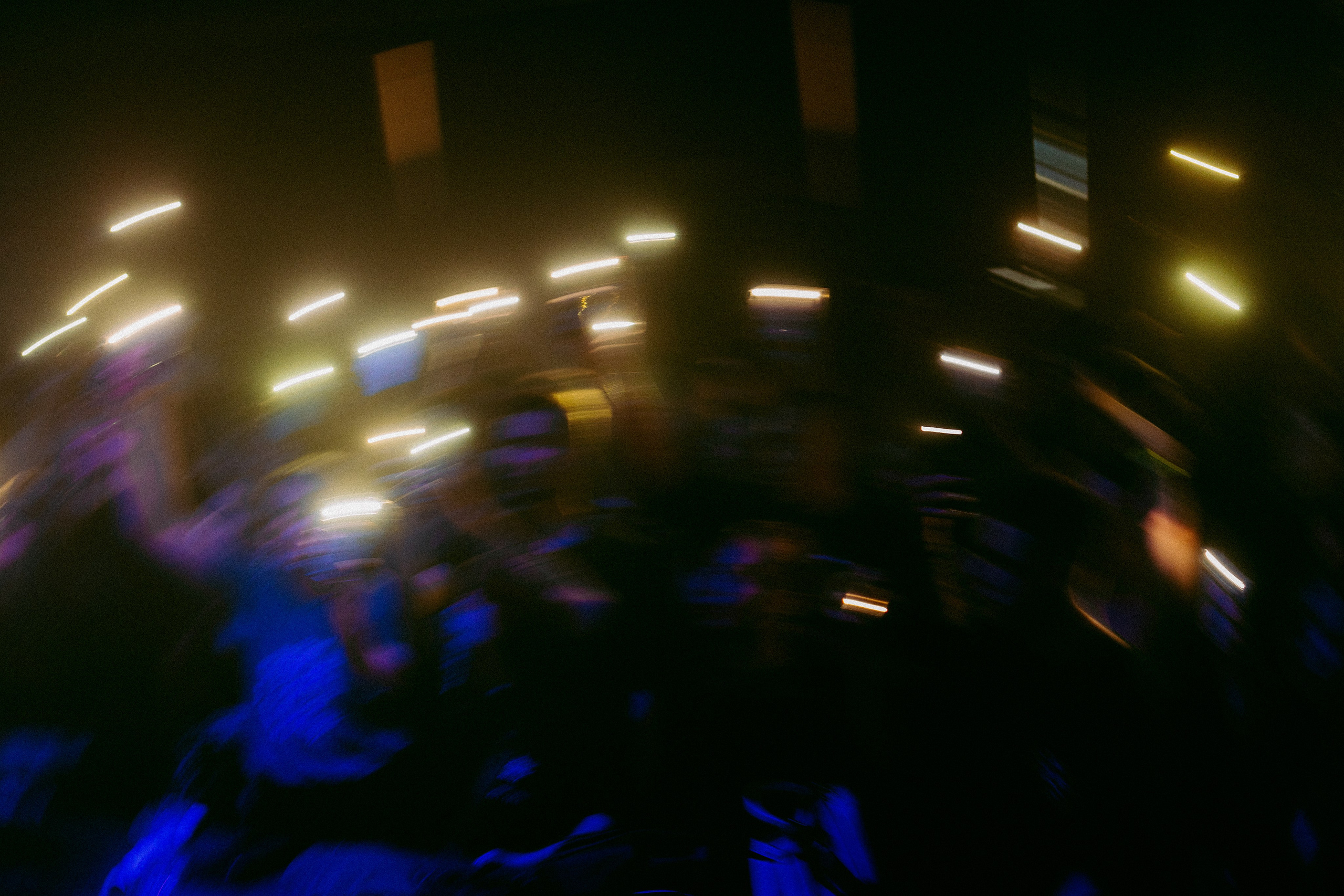 F0lk | 26.07.24 | Ласточка