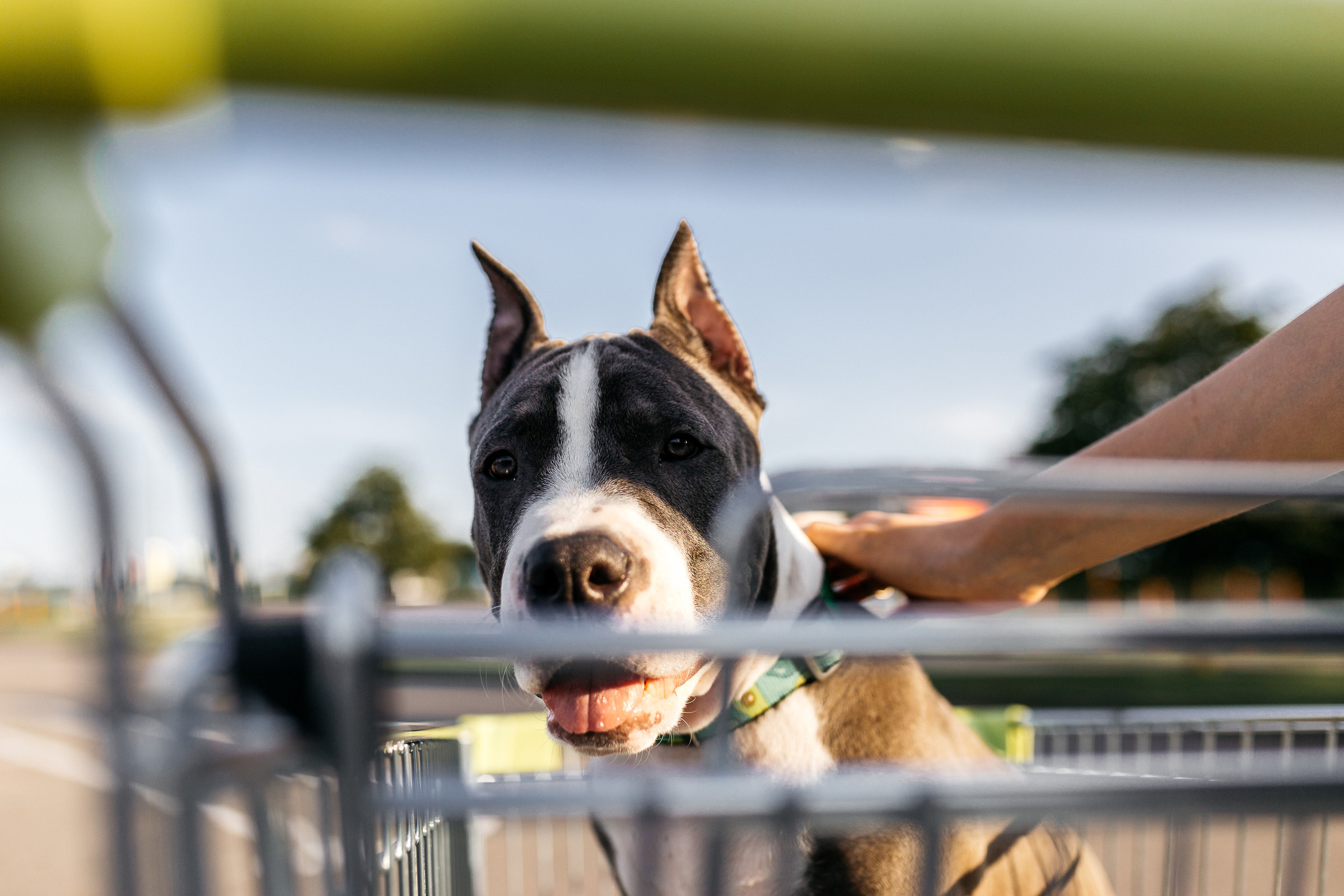 Парковка. Свадебный, семейный фотограф Беларусь