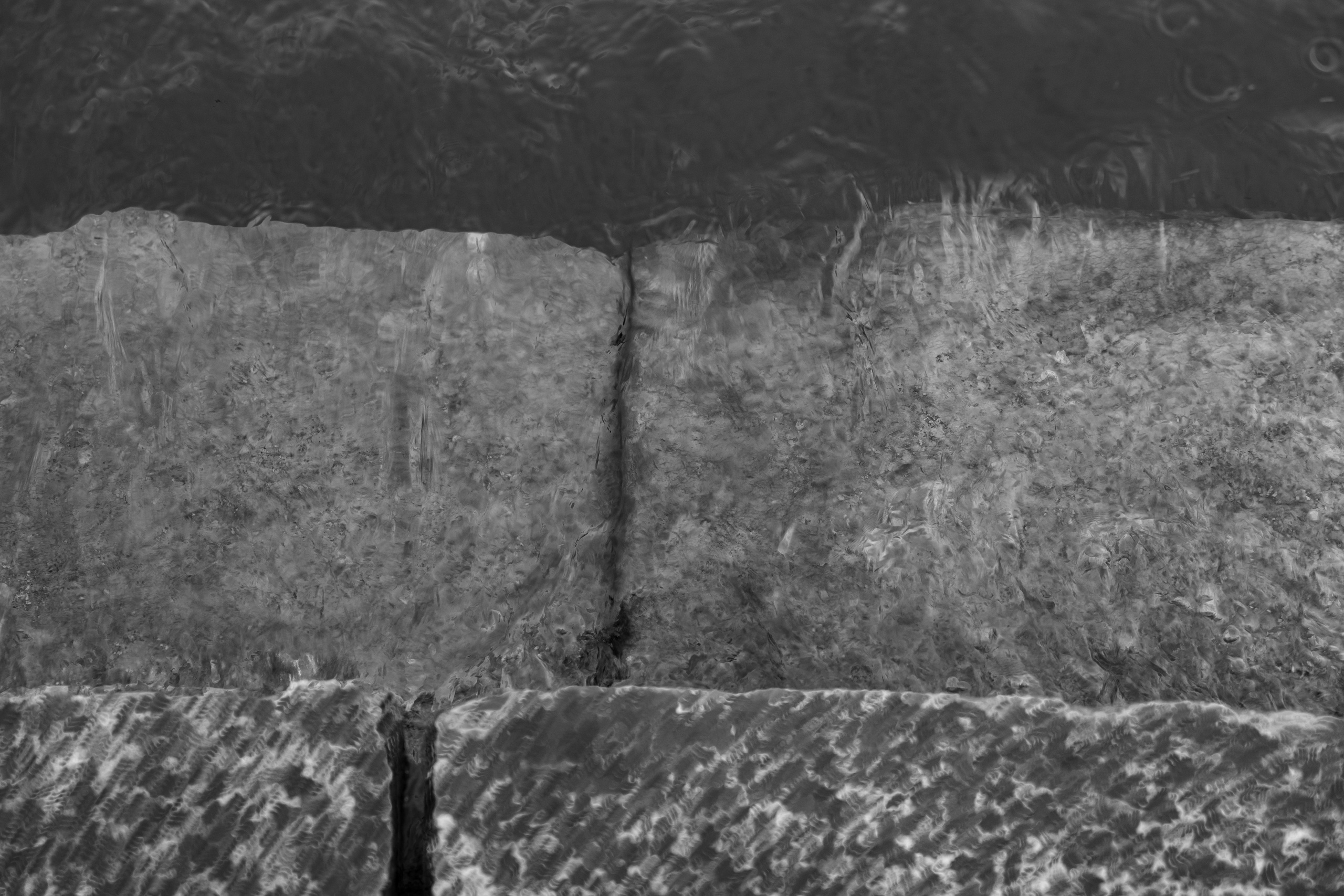 Art prints. Фотограф алина стерхова, алина стерхова фотограф, фотограф москва