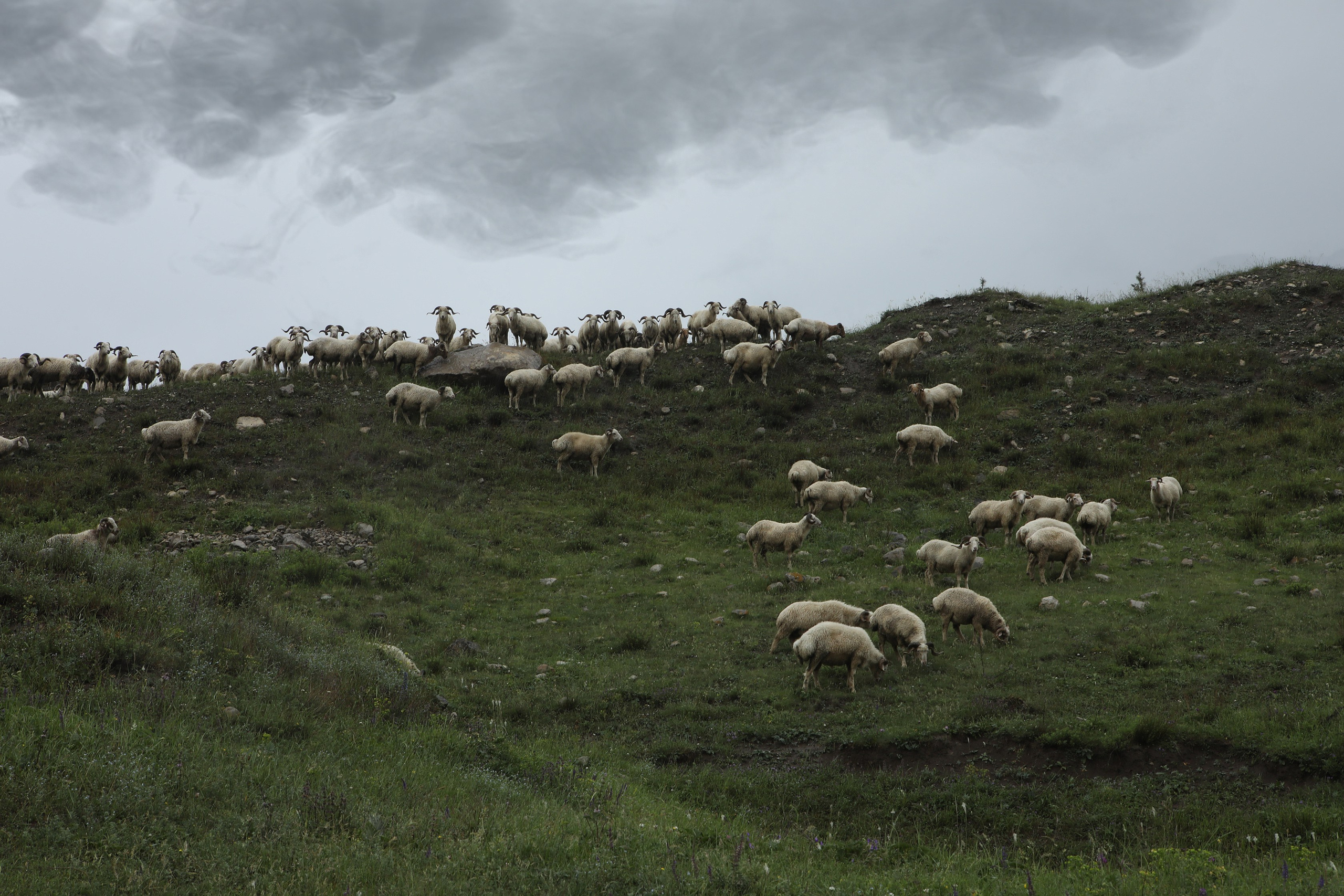 Пейзаж. Фотограф Наталья Туева FineArt съёмка