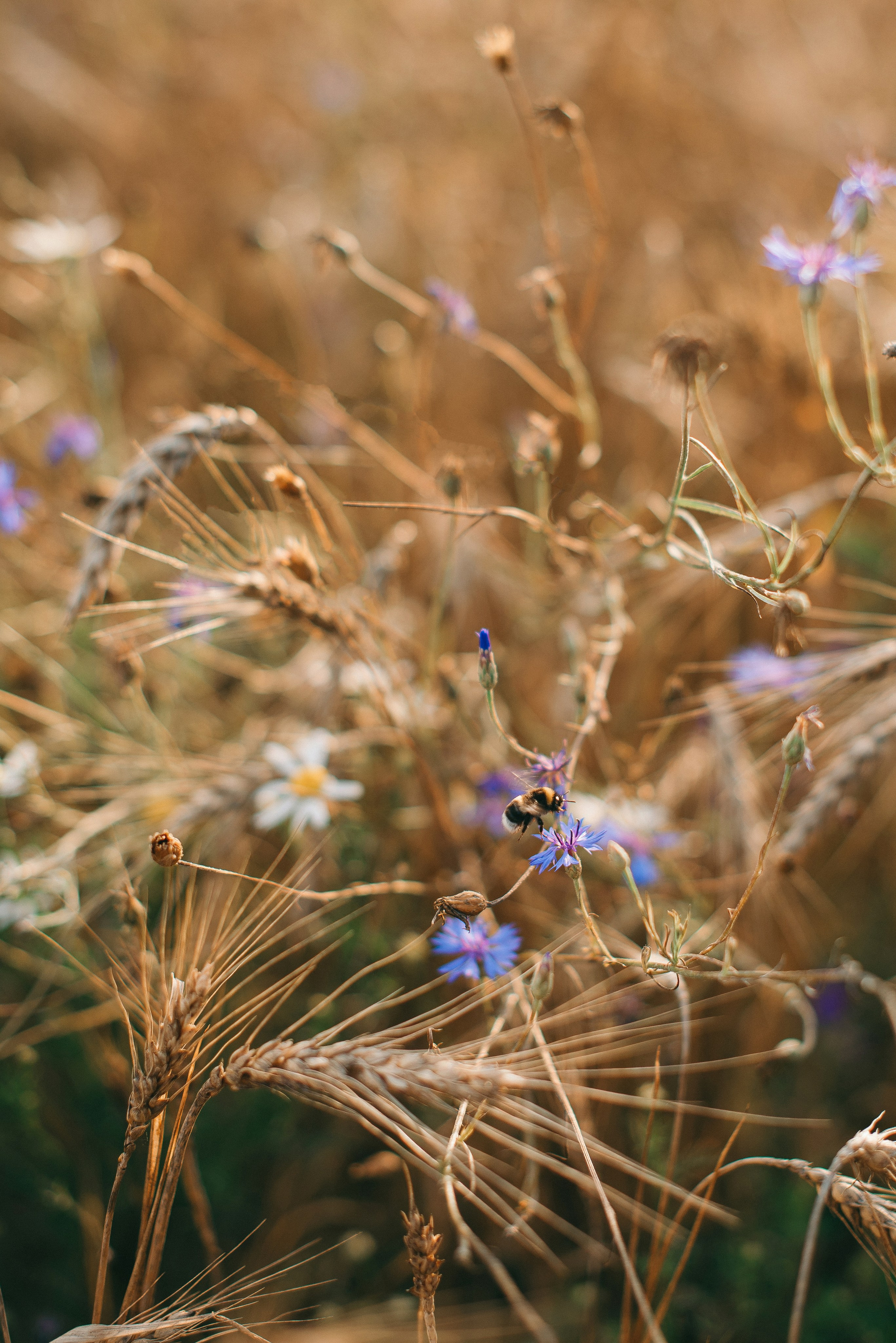 Семейная фотосессия на природе. Семейный и детский фотограф в Обнинске, Калуге, Москве