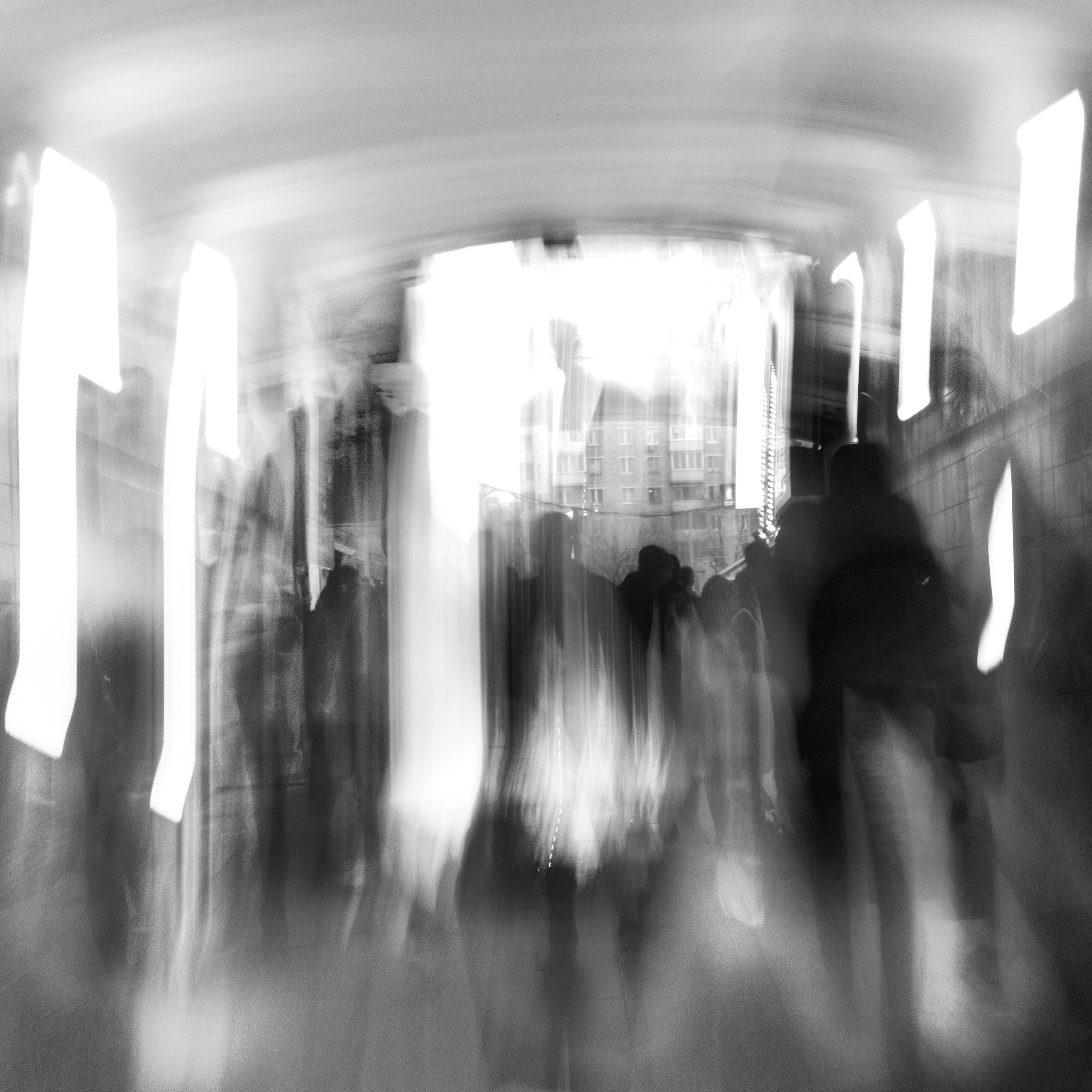 Primavera. Metagraphy