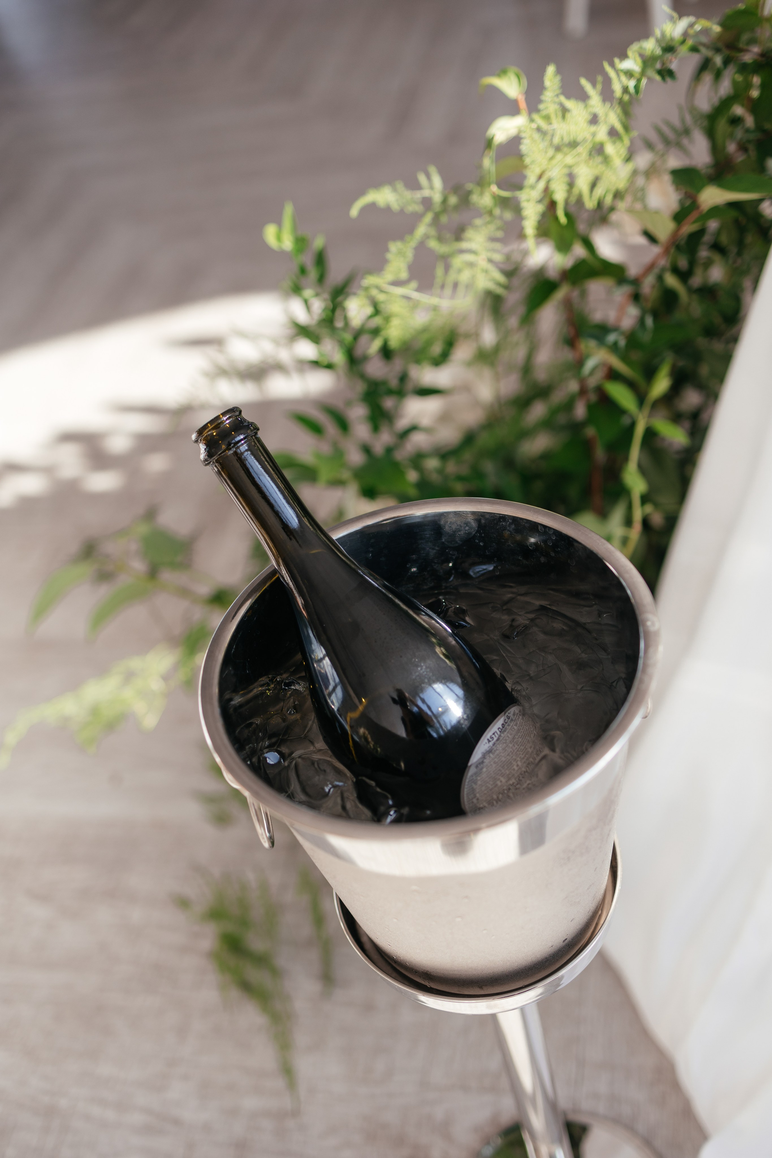 Вова и Лера. Фотограф Крохин Олег