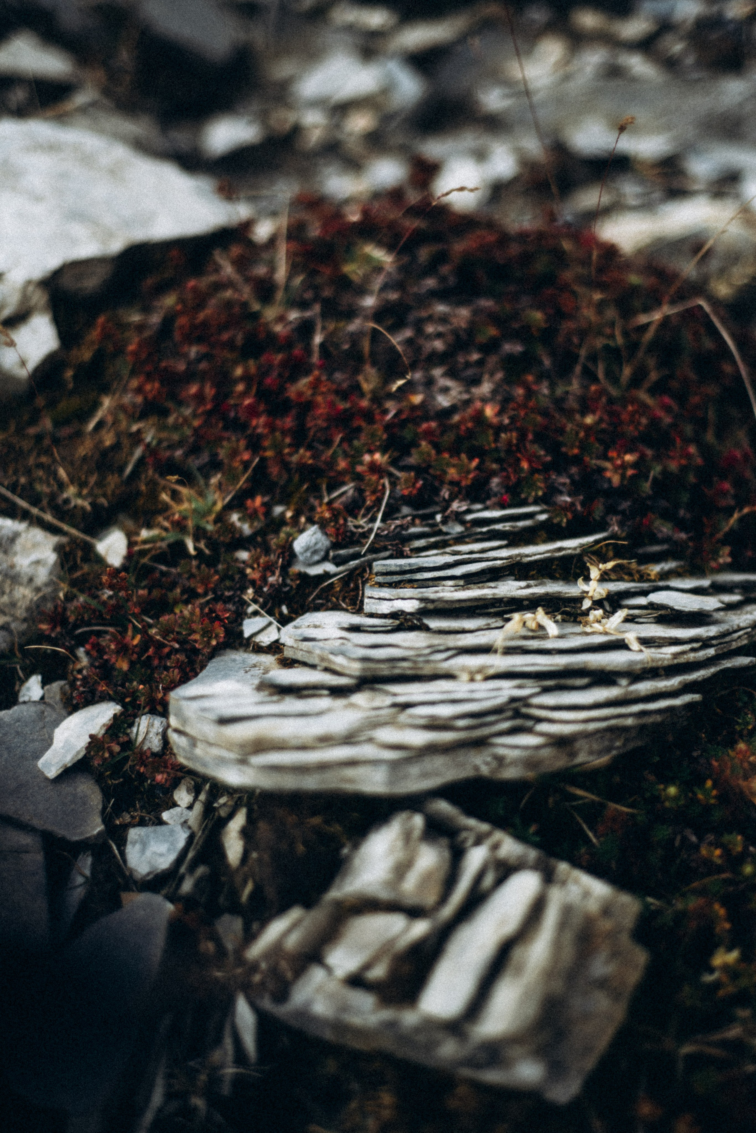 Казбег, Грузия 🇬🇪. Anita_photo