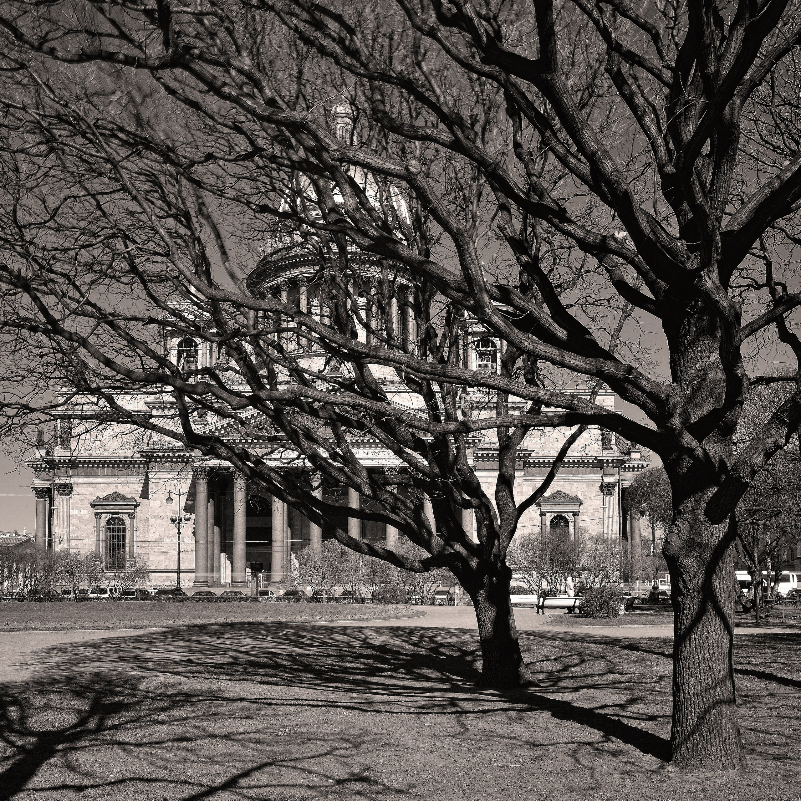 SAINT PETERSBURG. Personal website of photographer Dmitry Raikin