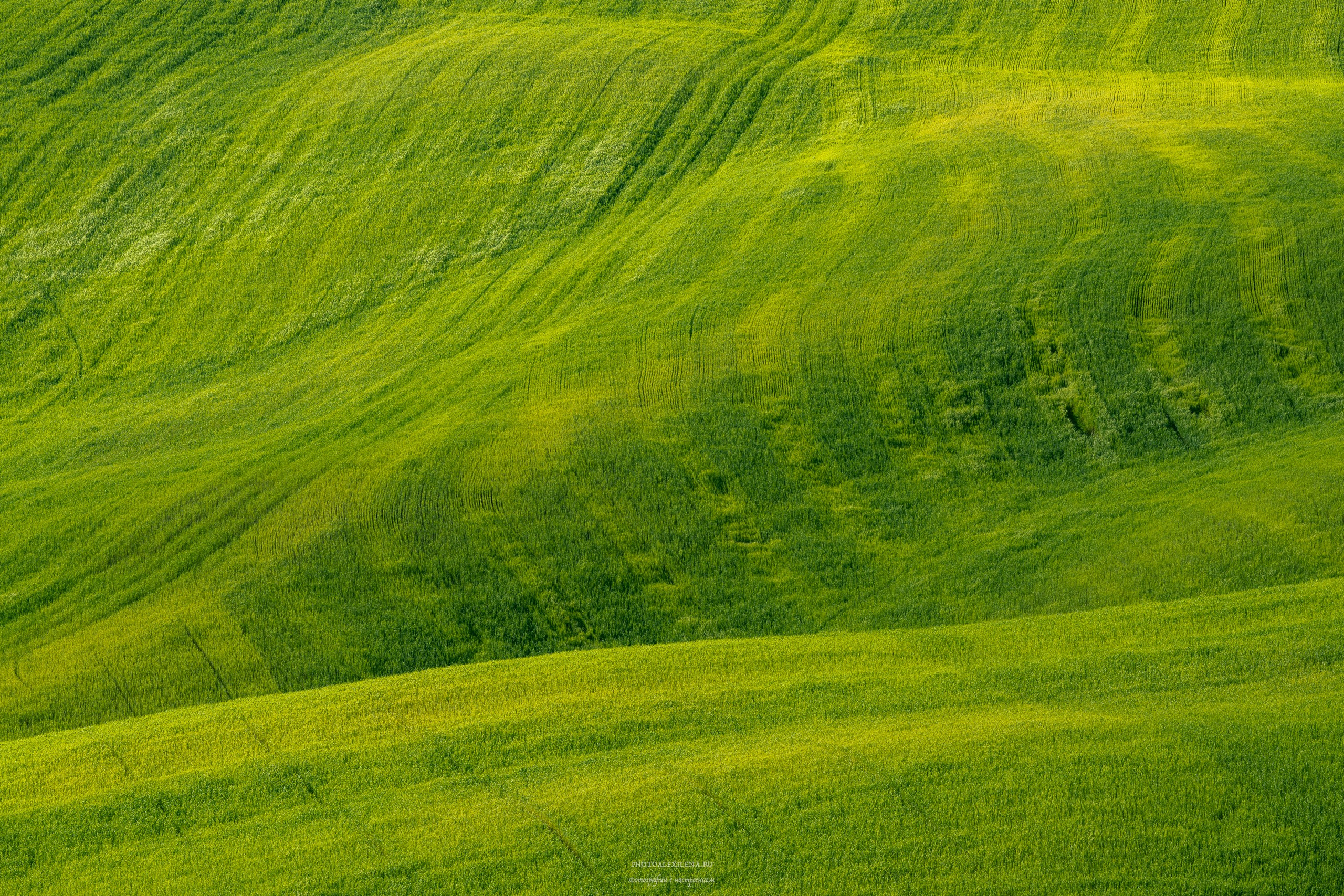 Долина Валь д’Орча-сердце Тосканы. Авторские стильные фотокартины
