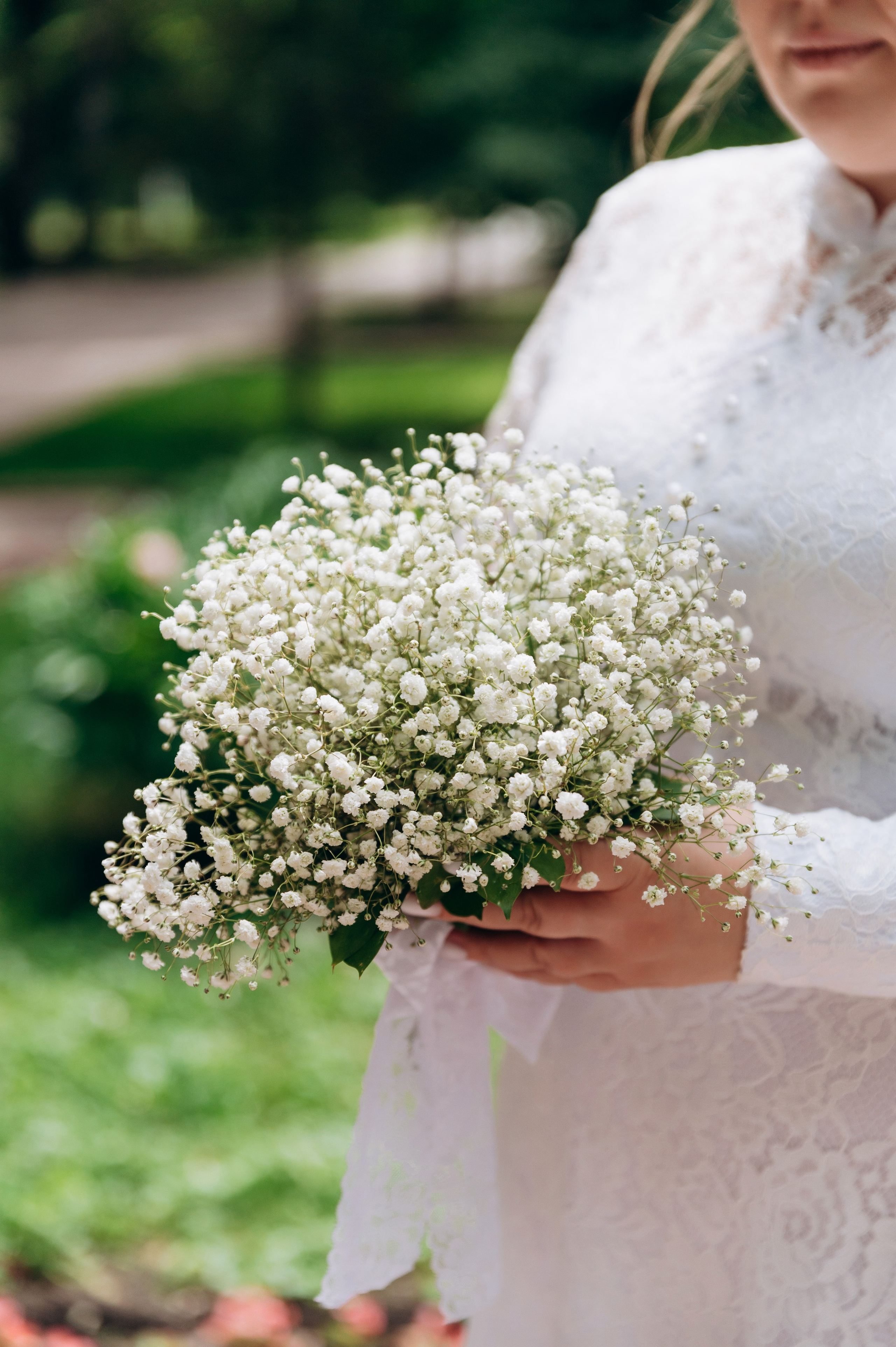 Регистрация и прогулка. Фотограф в Новосибирске