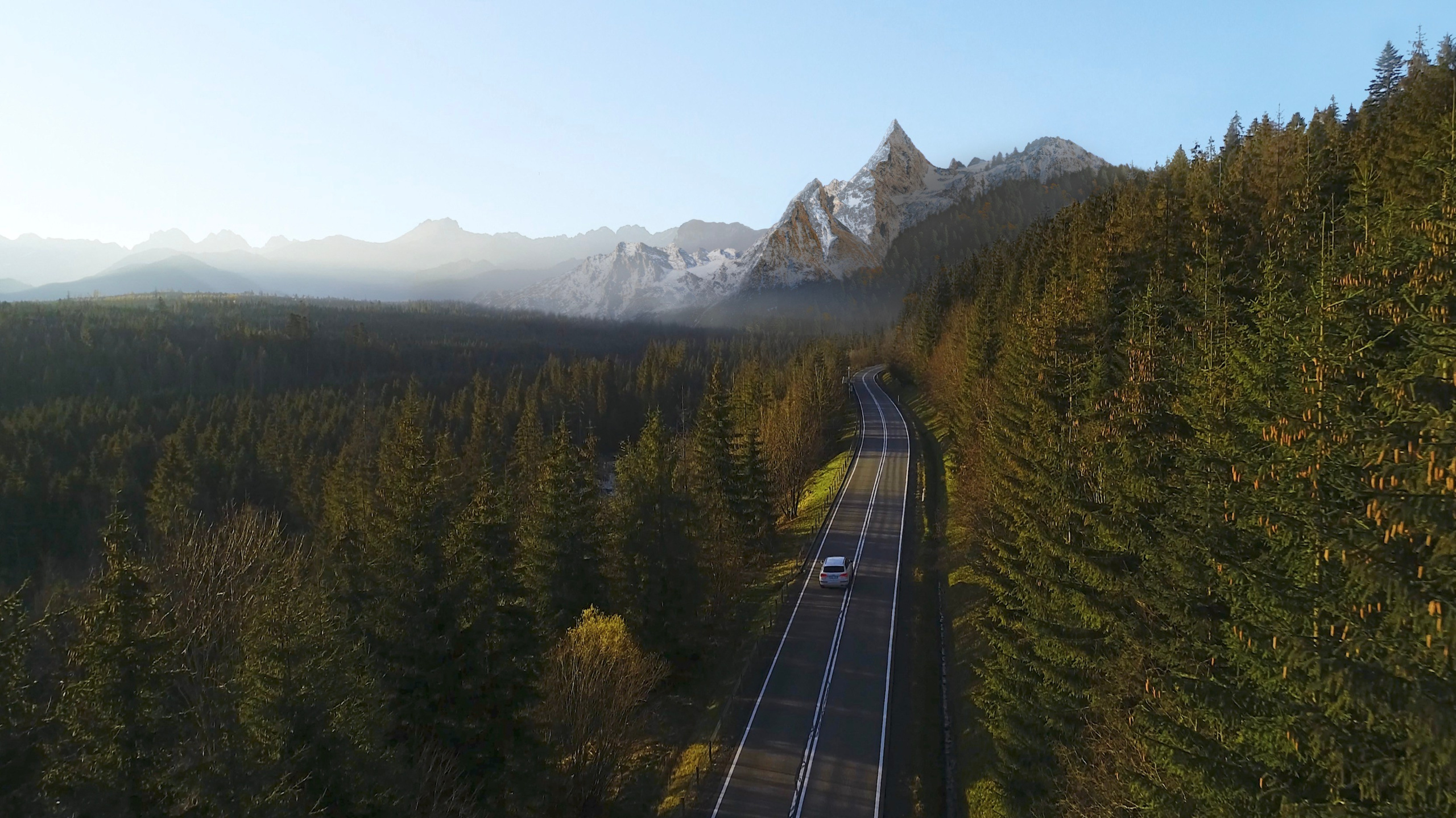 MATTE PAINT. ArtistSOS