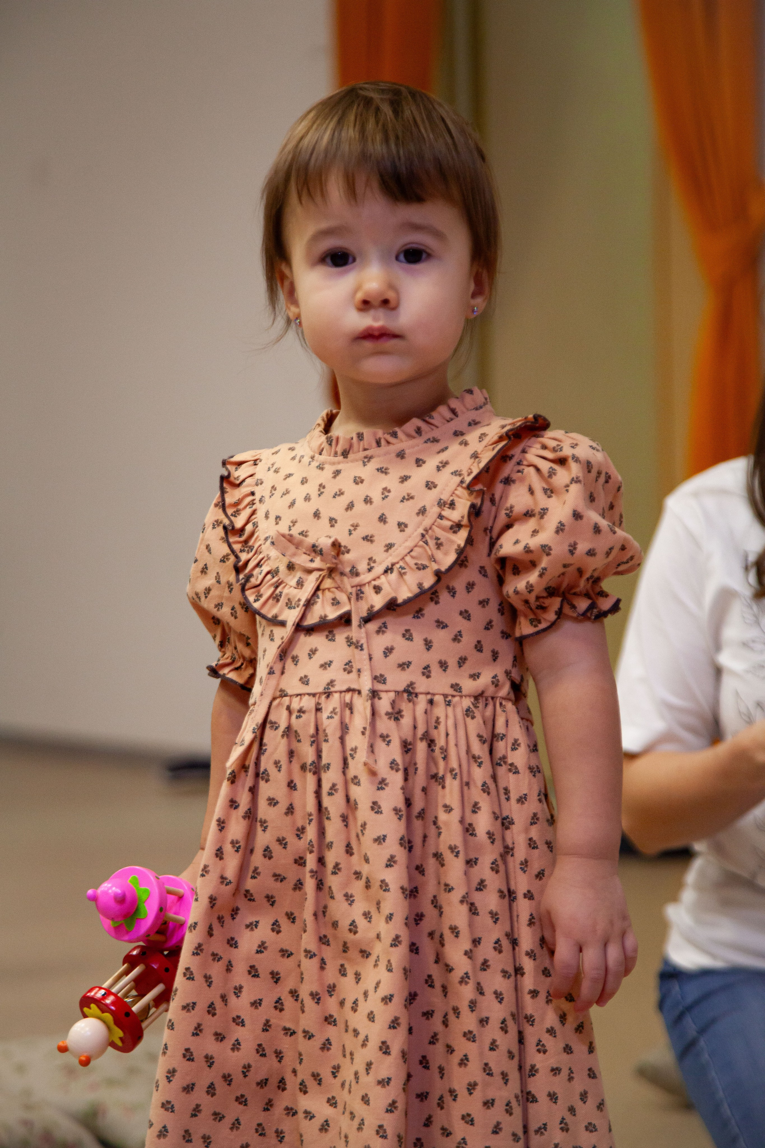 Музыкальный концерт с баяном. 17.11.23. Профессиональное фото в Казани: от идеи до результата. Фотограф Яна Мур