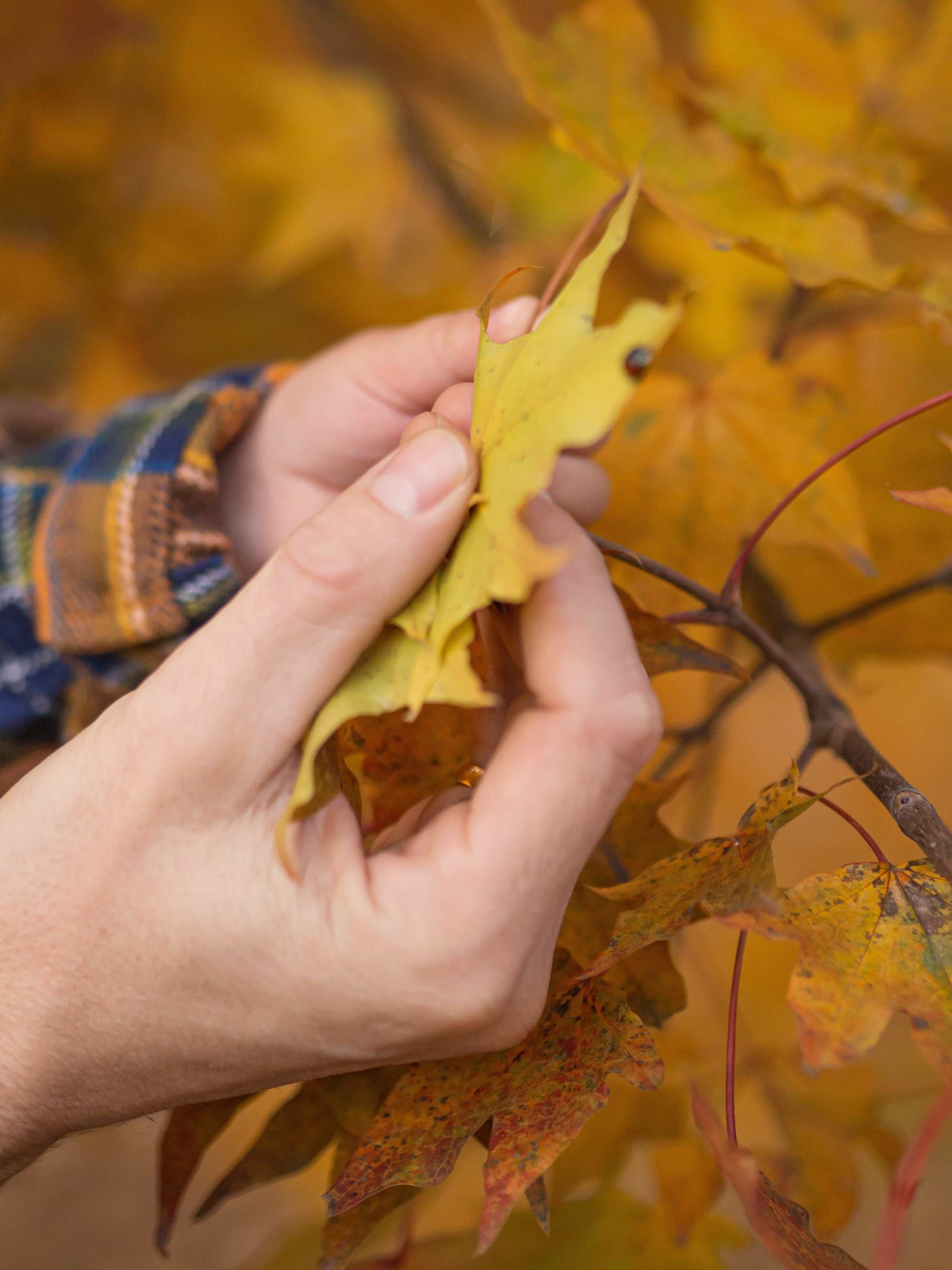 Семейное портфолио. Фотограф в Хабаровске