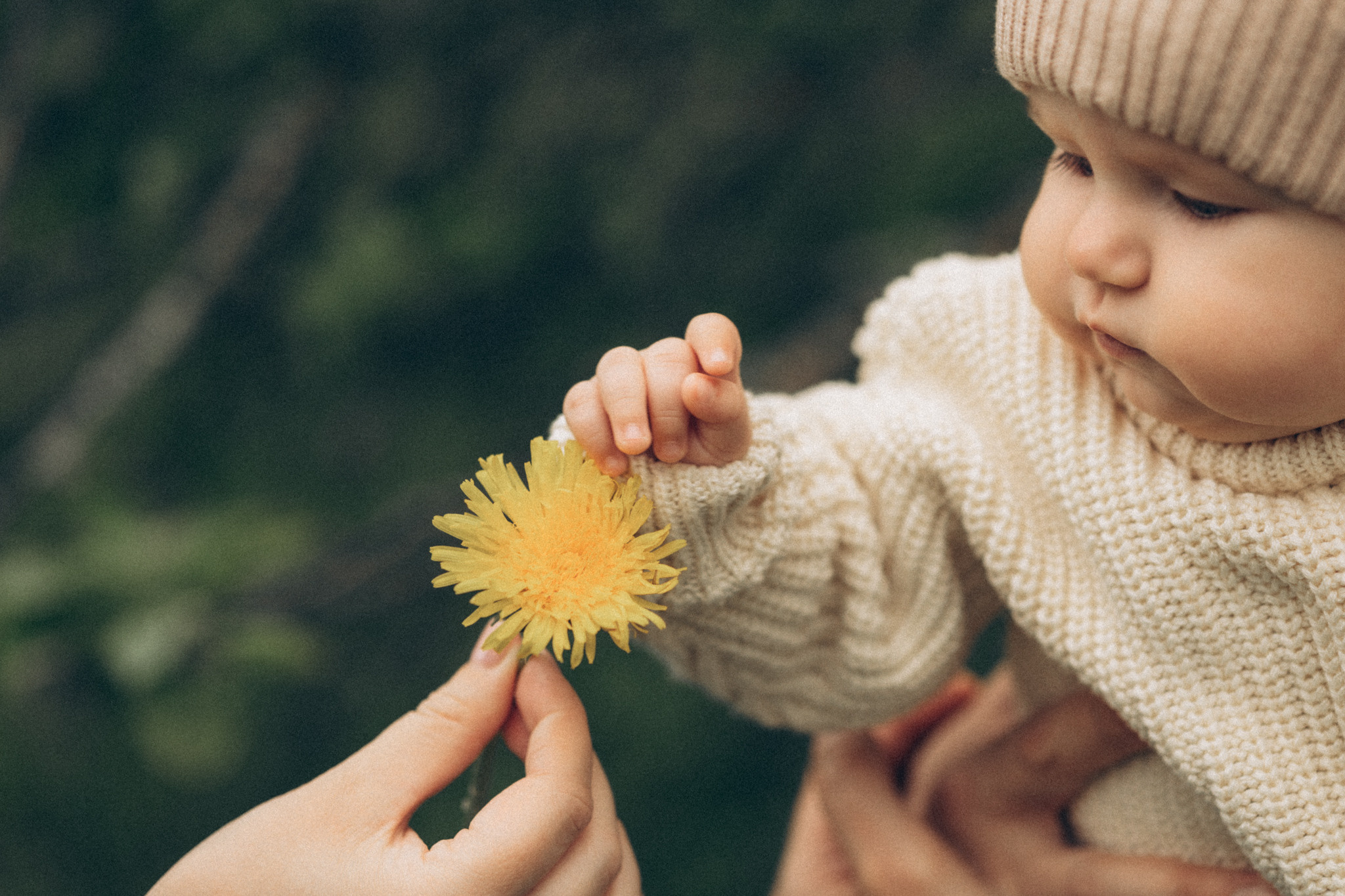 Ваня Таня Ника. Семейный фотограф в Ярославле Анардович Любовь