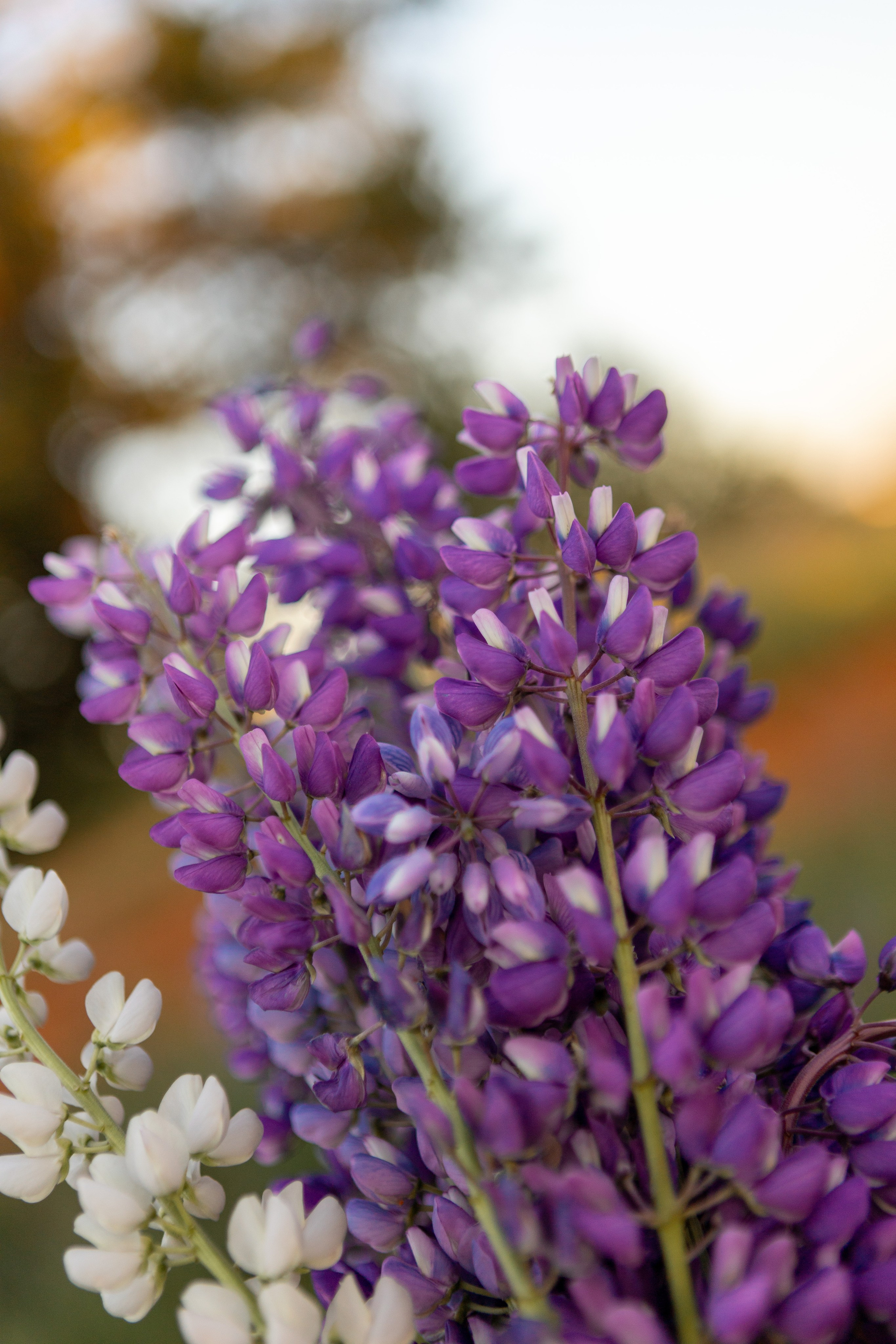 Разное. Фотограф Яна Матвеева в Ижевске