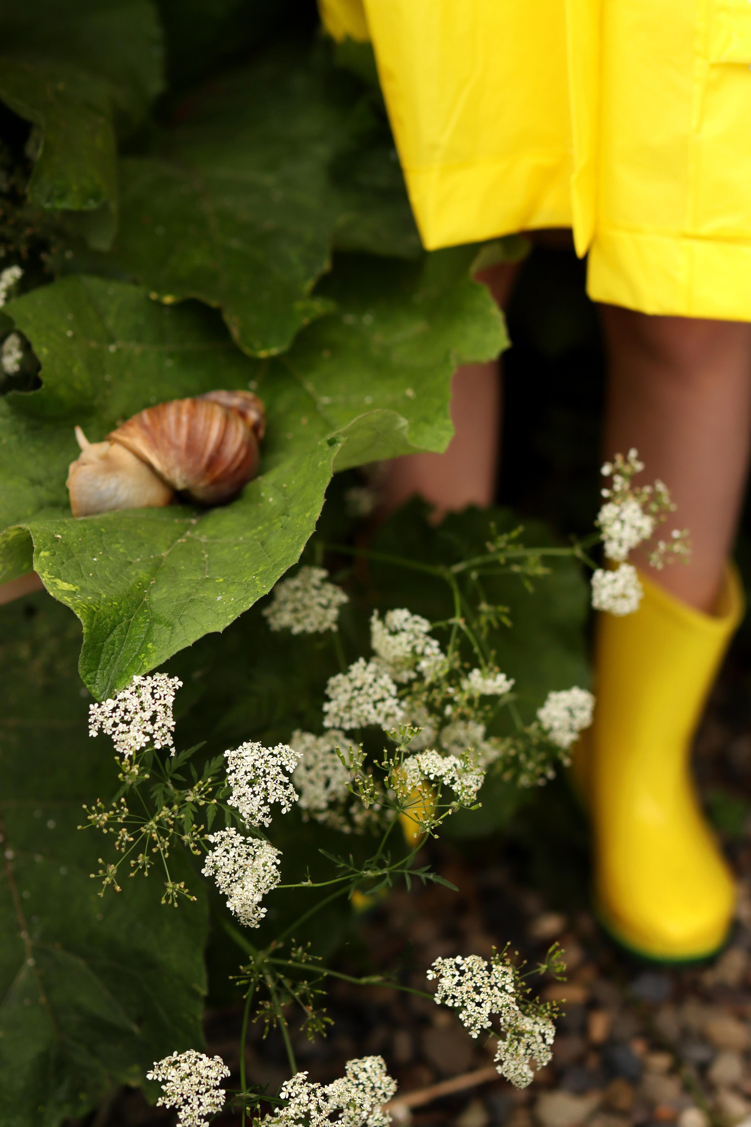 Аурика — летняя фотосессия. Фотограф Марина Семенова г. Владивосток