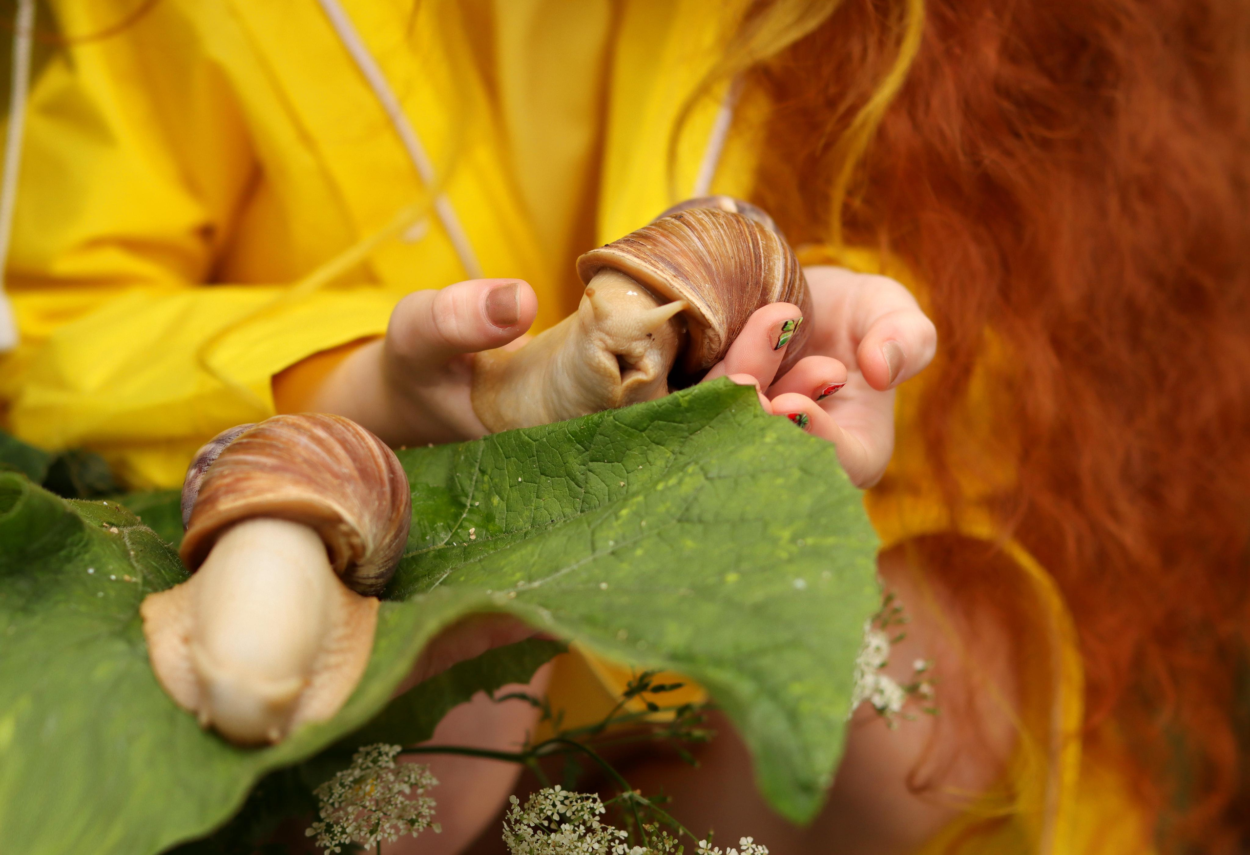 Аурика — летняя фотосессия. Фотограф Марина Семенова г. Владивосток