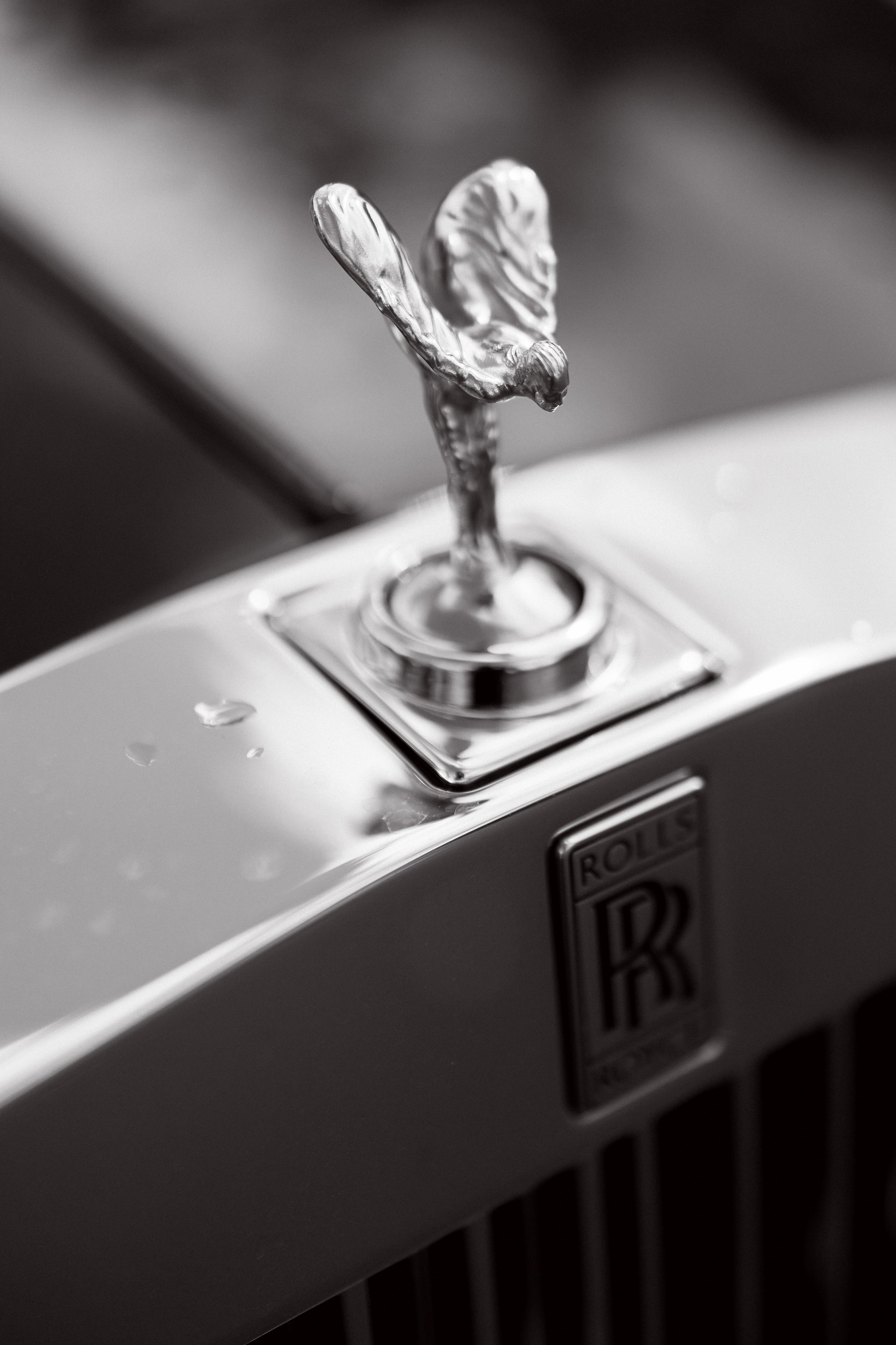 | преКРАСНЫЙ день |. Свадебный фотограф в Москве и Санкт Петербурге Наталья Григорьева