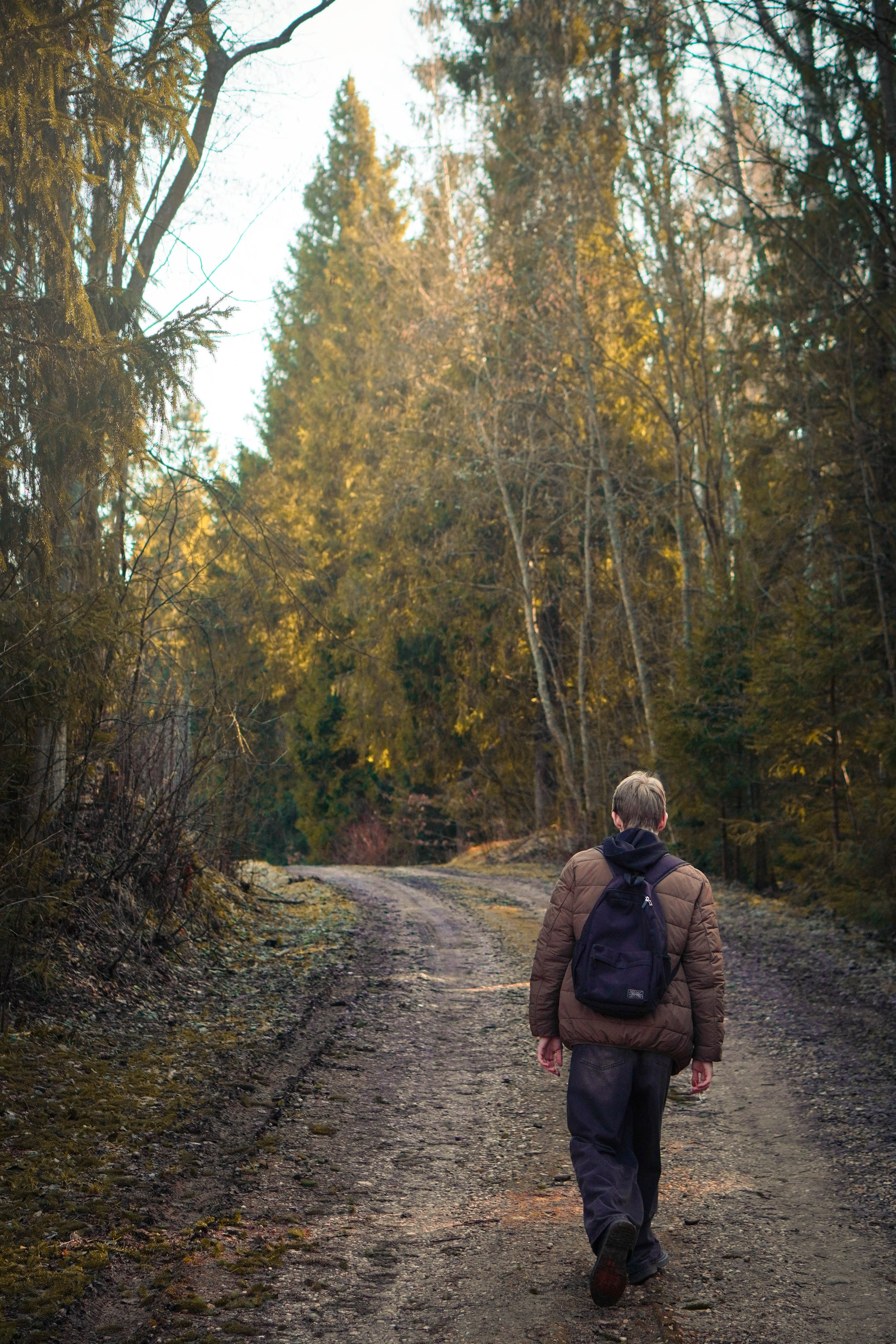 Лев. Видео и Фото