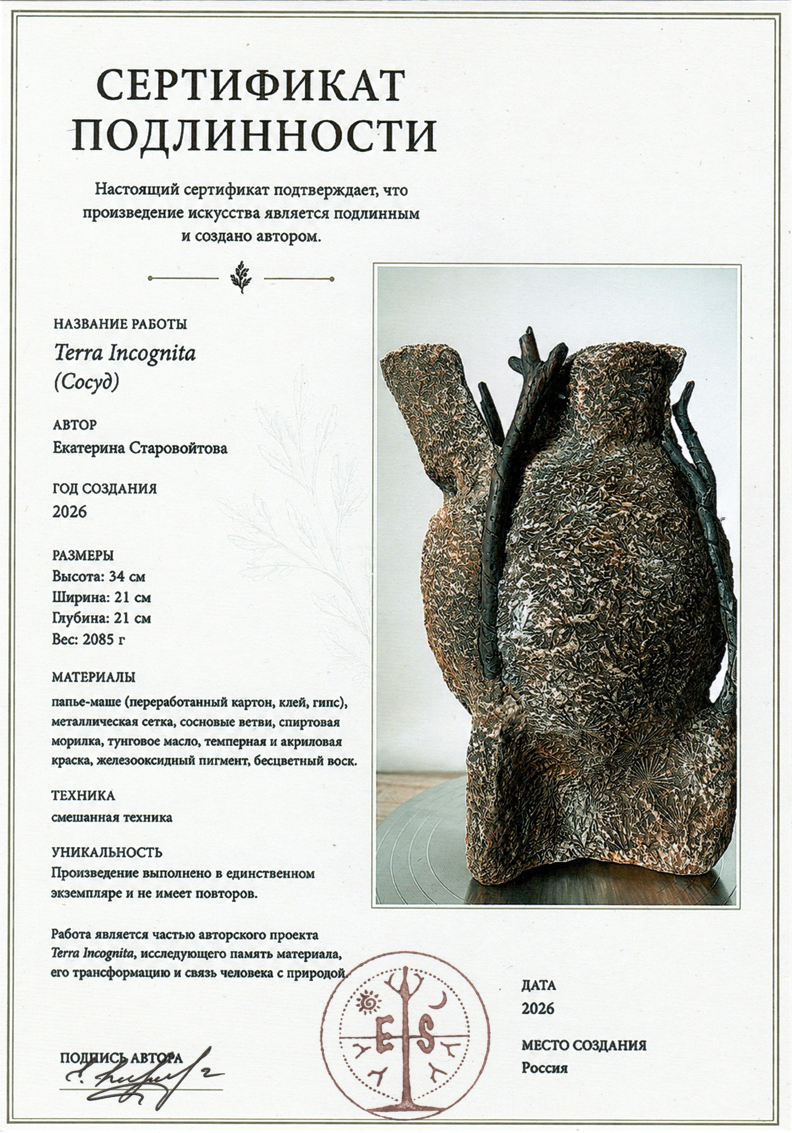 Terra Incognita. Неизвестная земля. Художник Екатерина Старовойтова