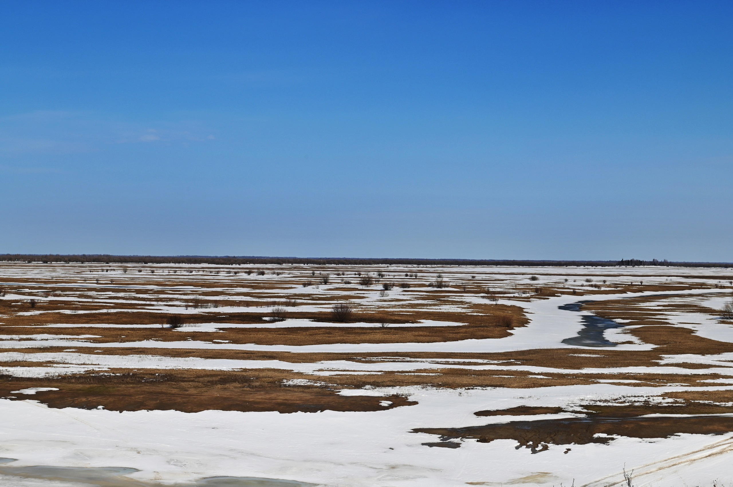 Безмолвие пустоши. Междисциплинарный художник Екатерина Старовойтова