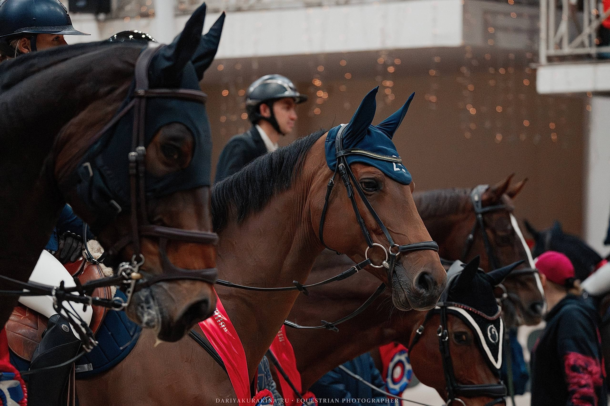 КУБОК ВУЗОВ. ФИНАЛ — КСК «ВИВАТ, РОССИЯ!». Куракина Дарья • Конный фотограф