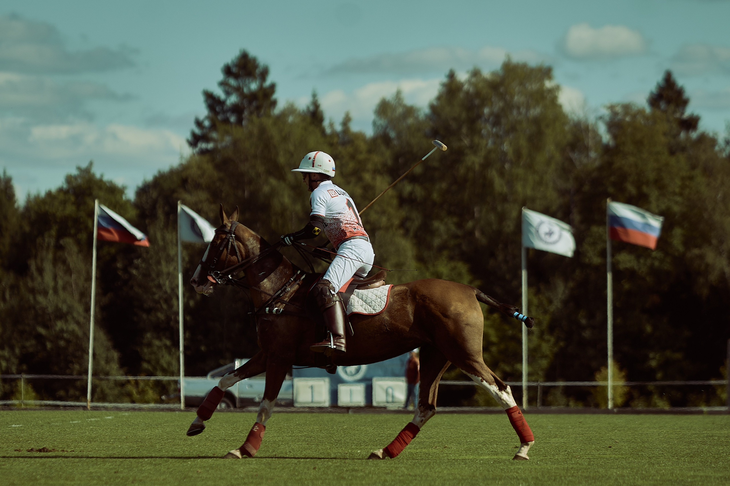 HORSE POLO. Фотограф Наталья Леонова