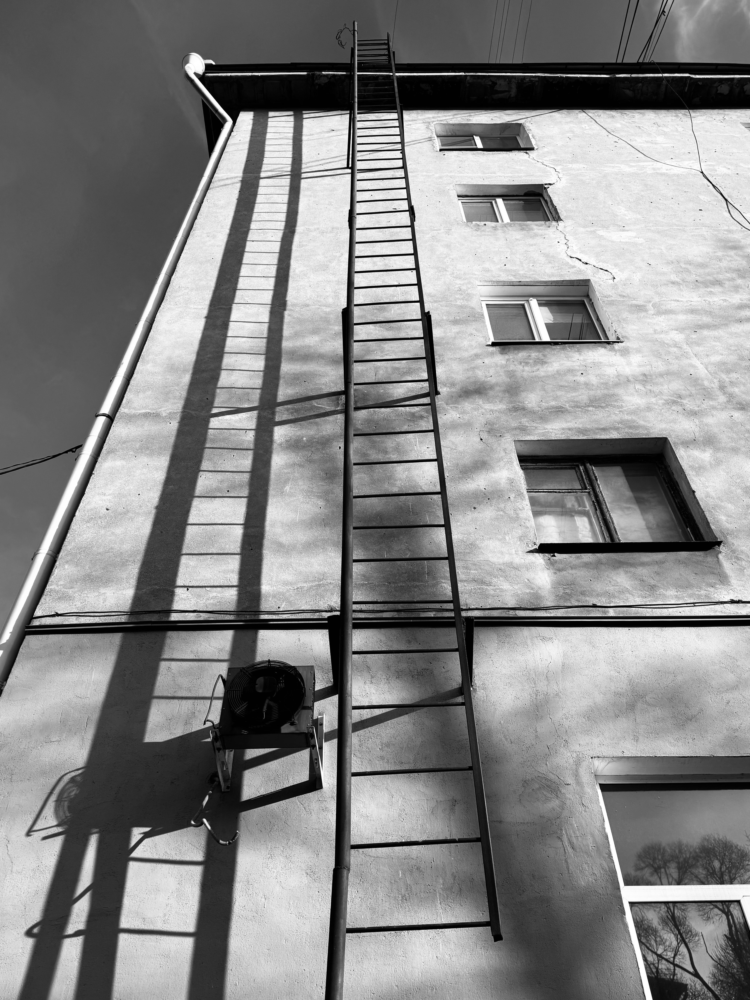 Уличная фотография