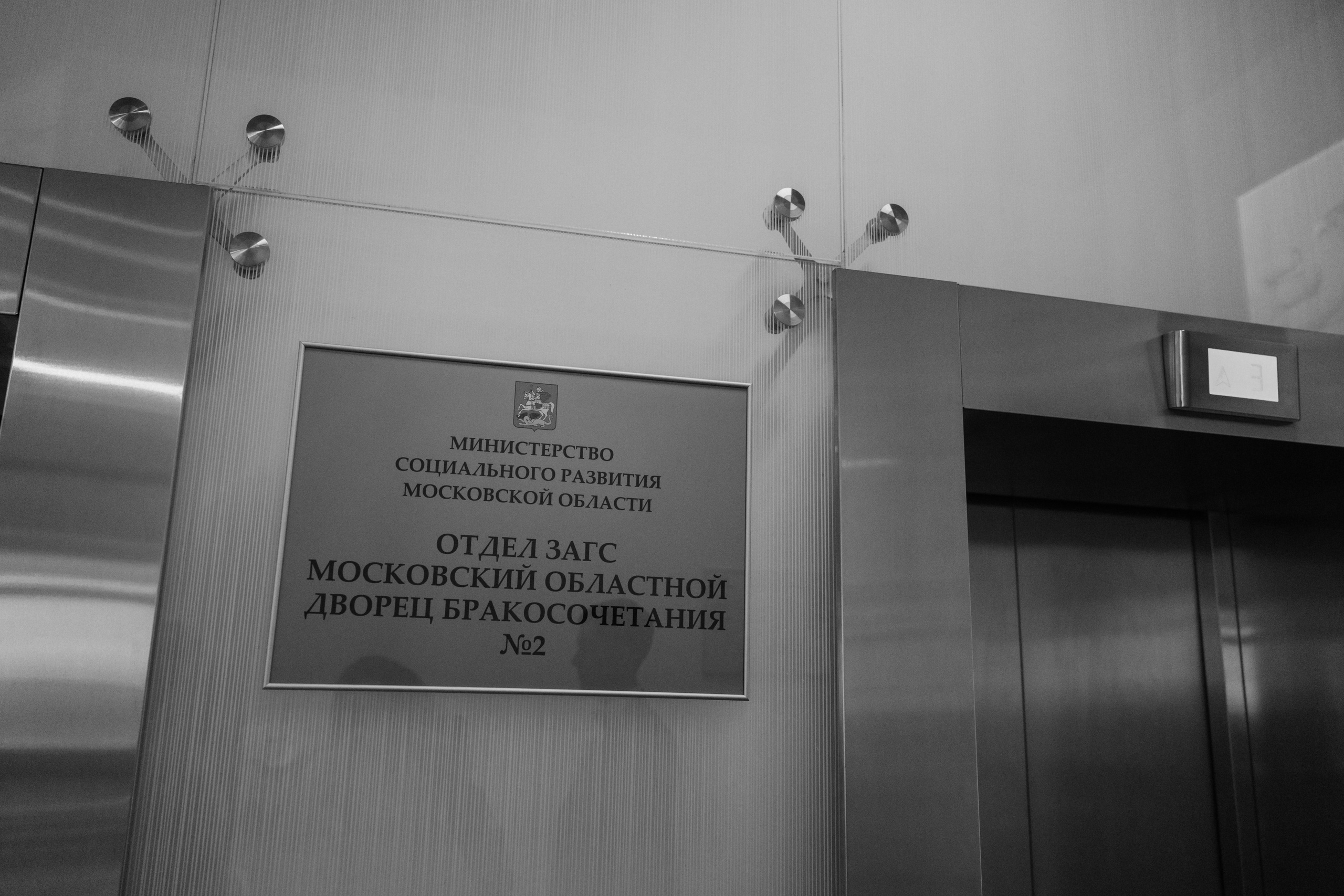 Саша и Катя. Свадебный и семейный фотограф в Москве и Красногорске — живые кадры | Анастасия Тихонова