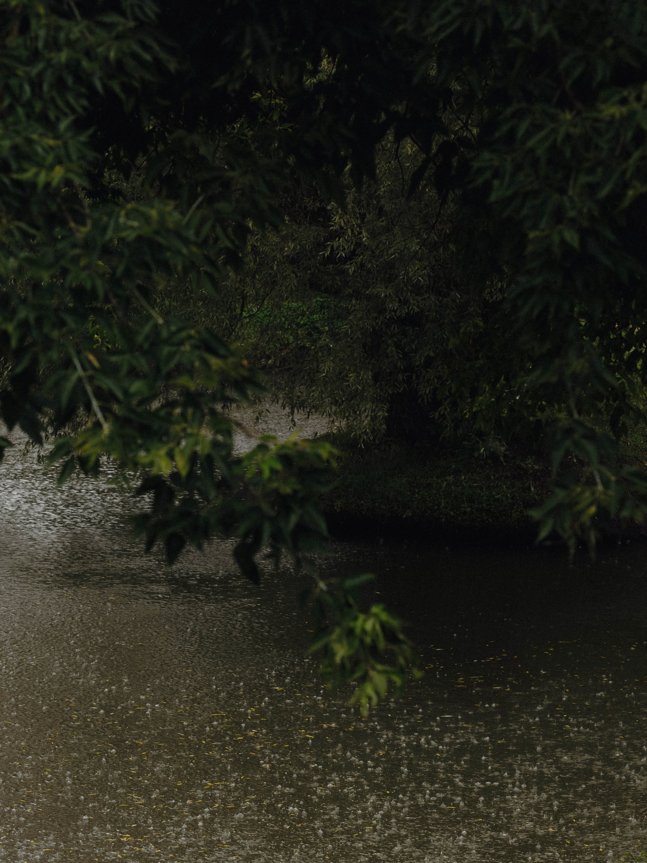 Красный янтарь. Свадебный фотограф МОСКВА Ольга Шишук