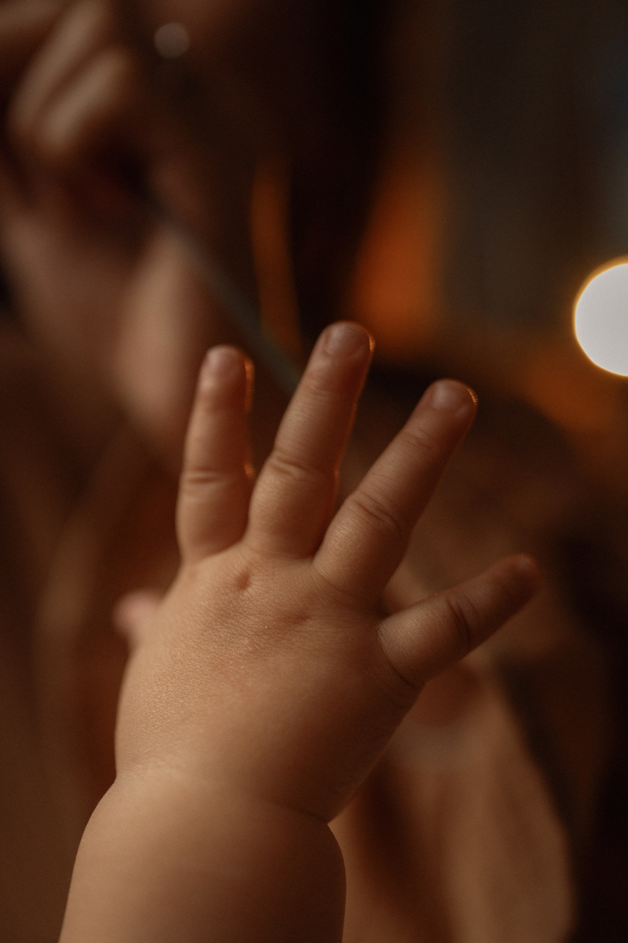 В мастерской художника. Семейный фотограф Москва. Фотограф беременности и материнства Москва