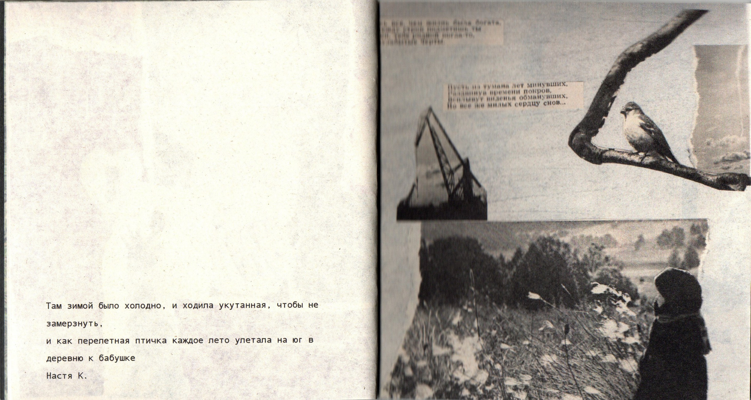 Хрупкий дом. Фотограф Анна Кирнос