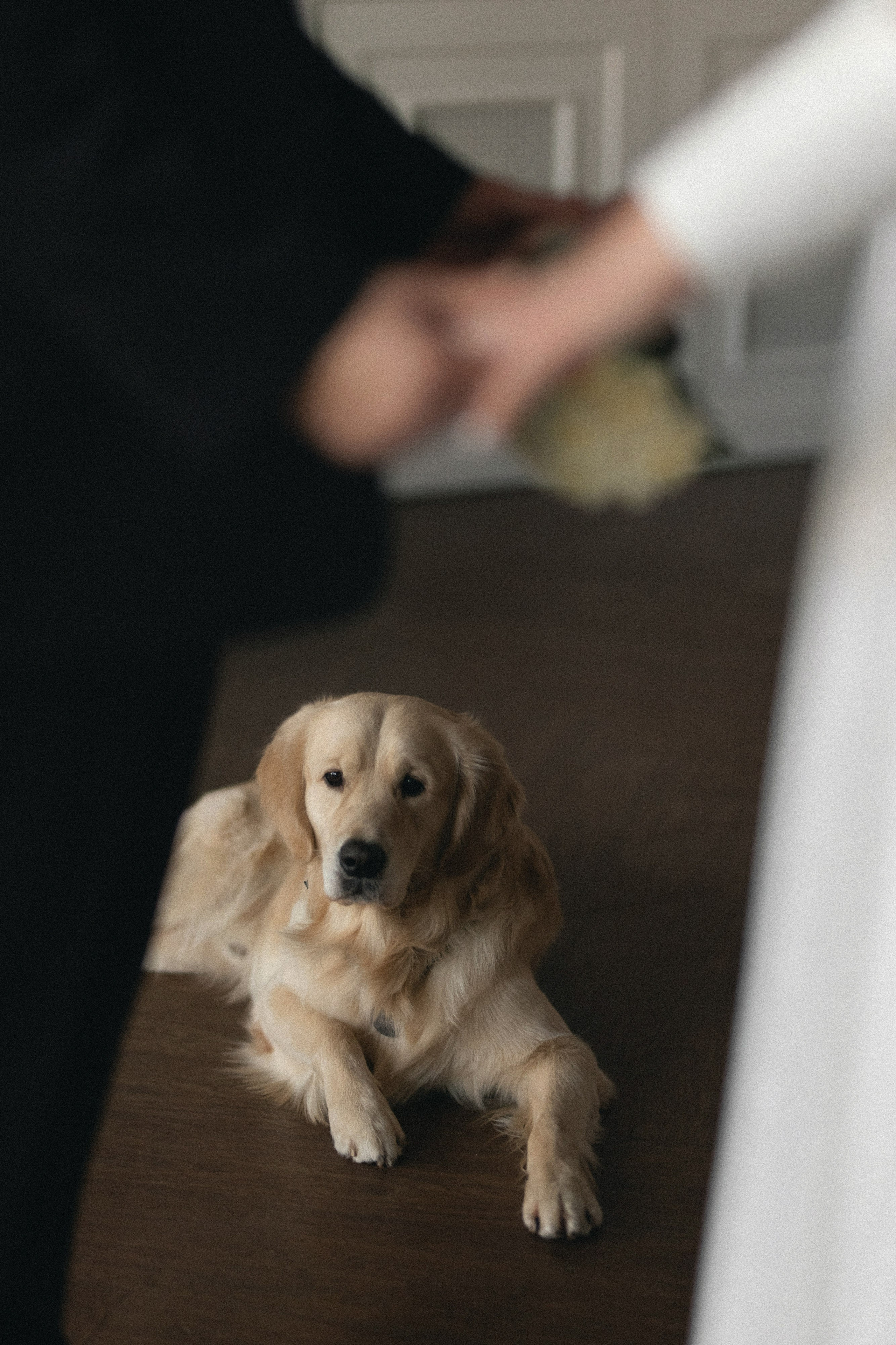 ЕКАТЕРИНА & ПАВЕЛ ` 25.01.25. Maria Startseva Photo