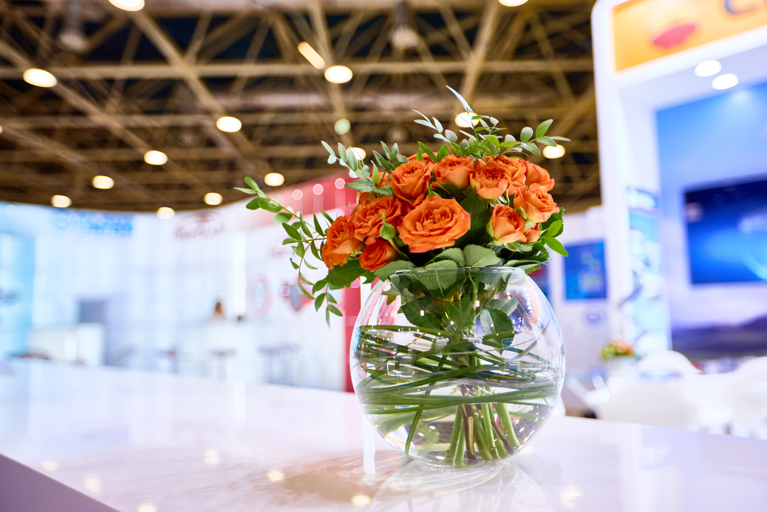 Выставки: застройка. Яркий репортажный фотограф в Москве Лоскутов Глеб