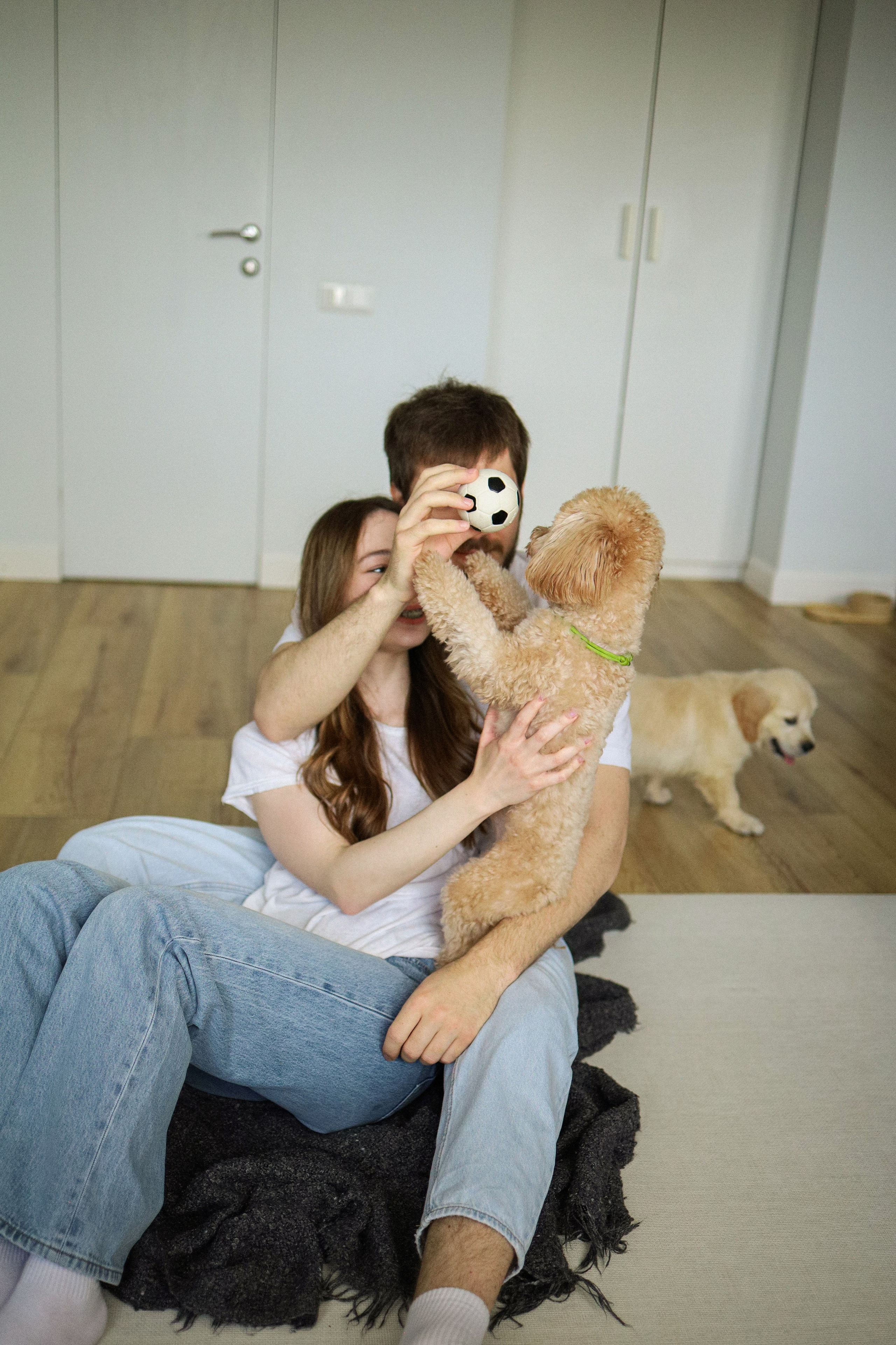 Поршик, Финни и их семья. Фотограф-анималист Ксения Шевцова|Москва